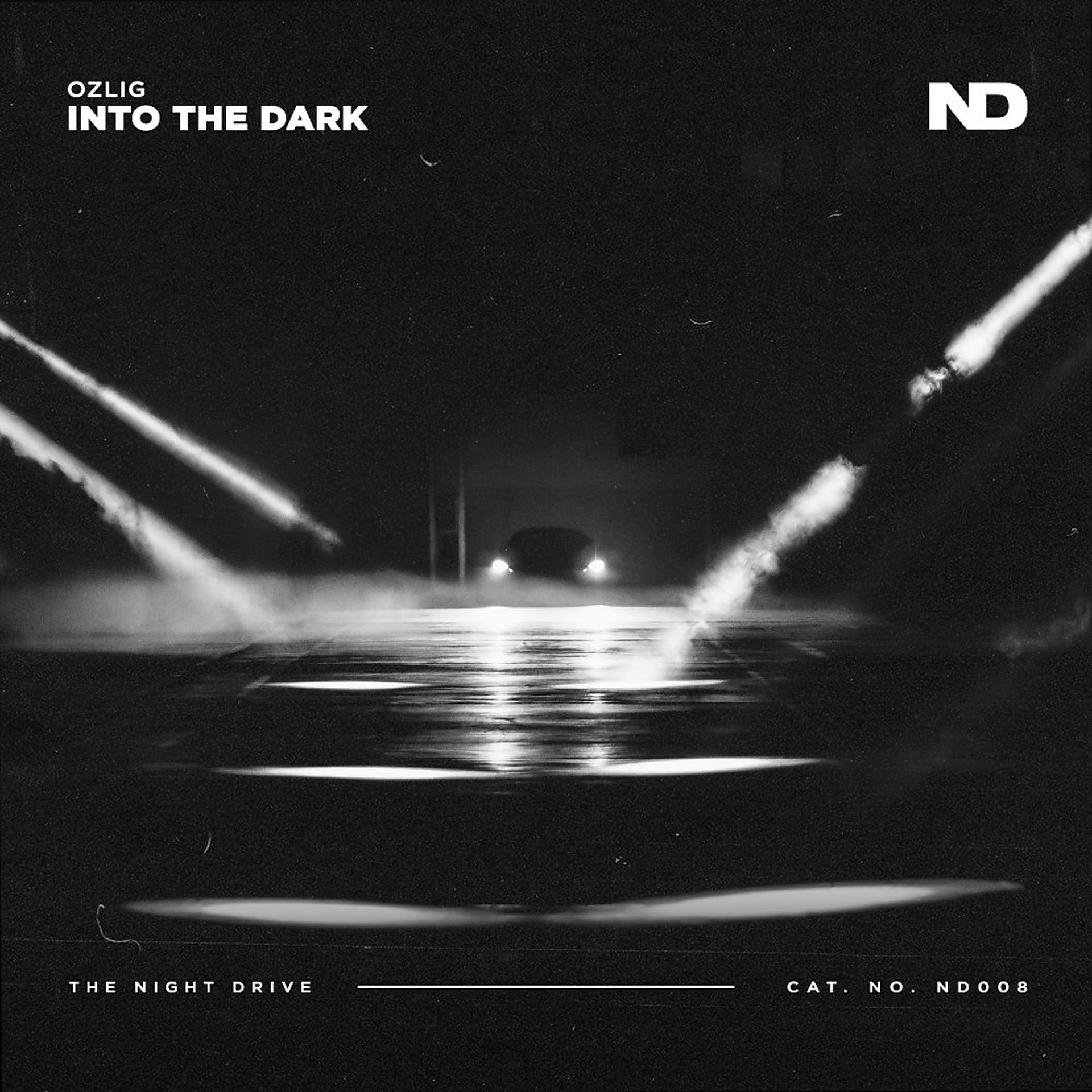 Постер альбома Into the Dark