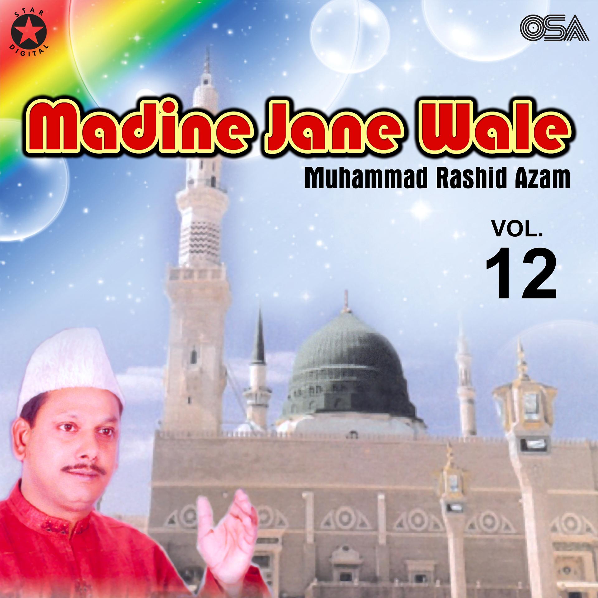 Постер альбома Madine Jane Wale, Vol. 12