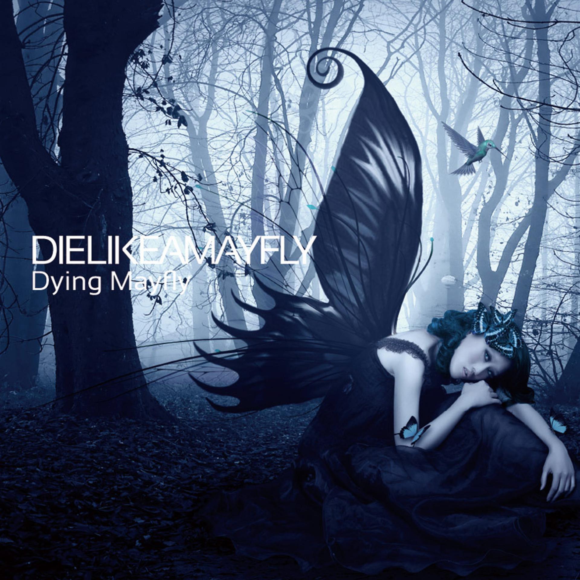 Постер альбома Dying Mayfly - EP