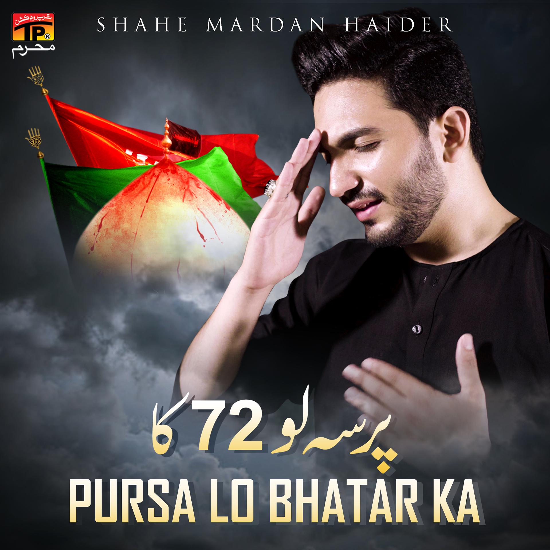 Постер альбома Pursa Lo Bhatar Ka - Single