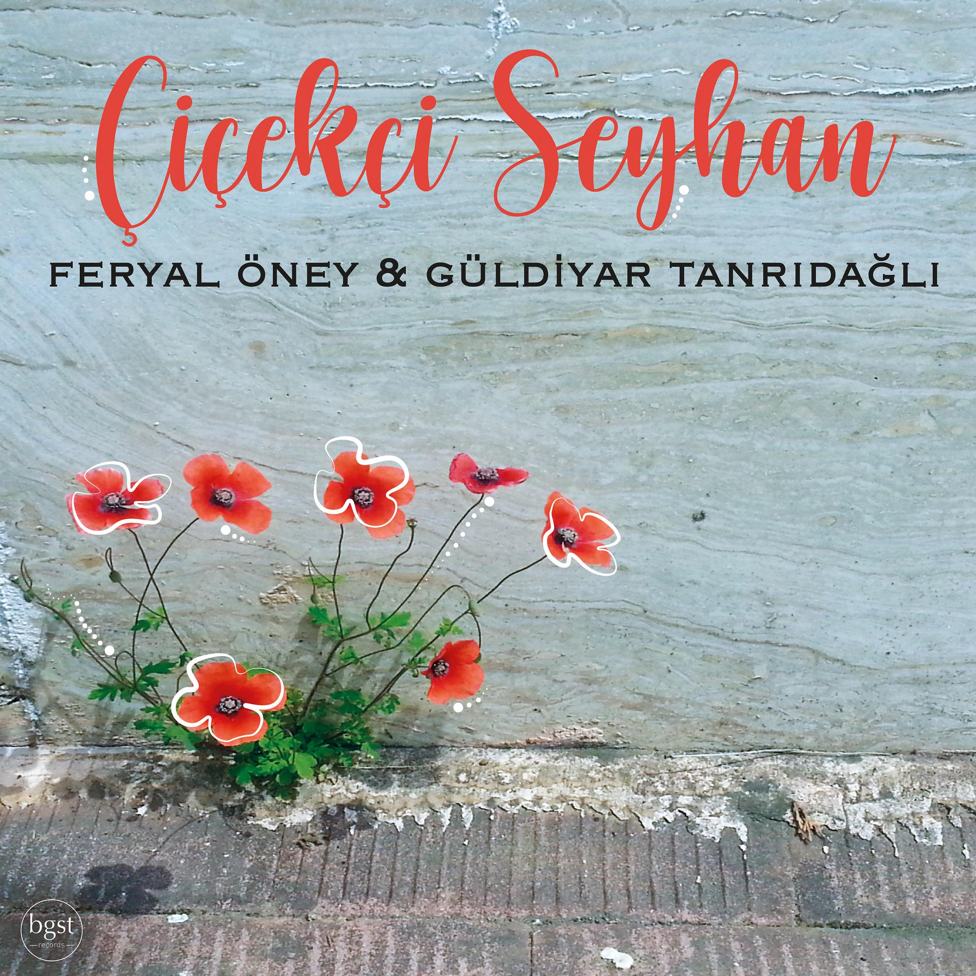 Постер альбома Çiçekçi Seyhan
