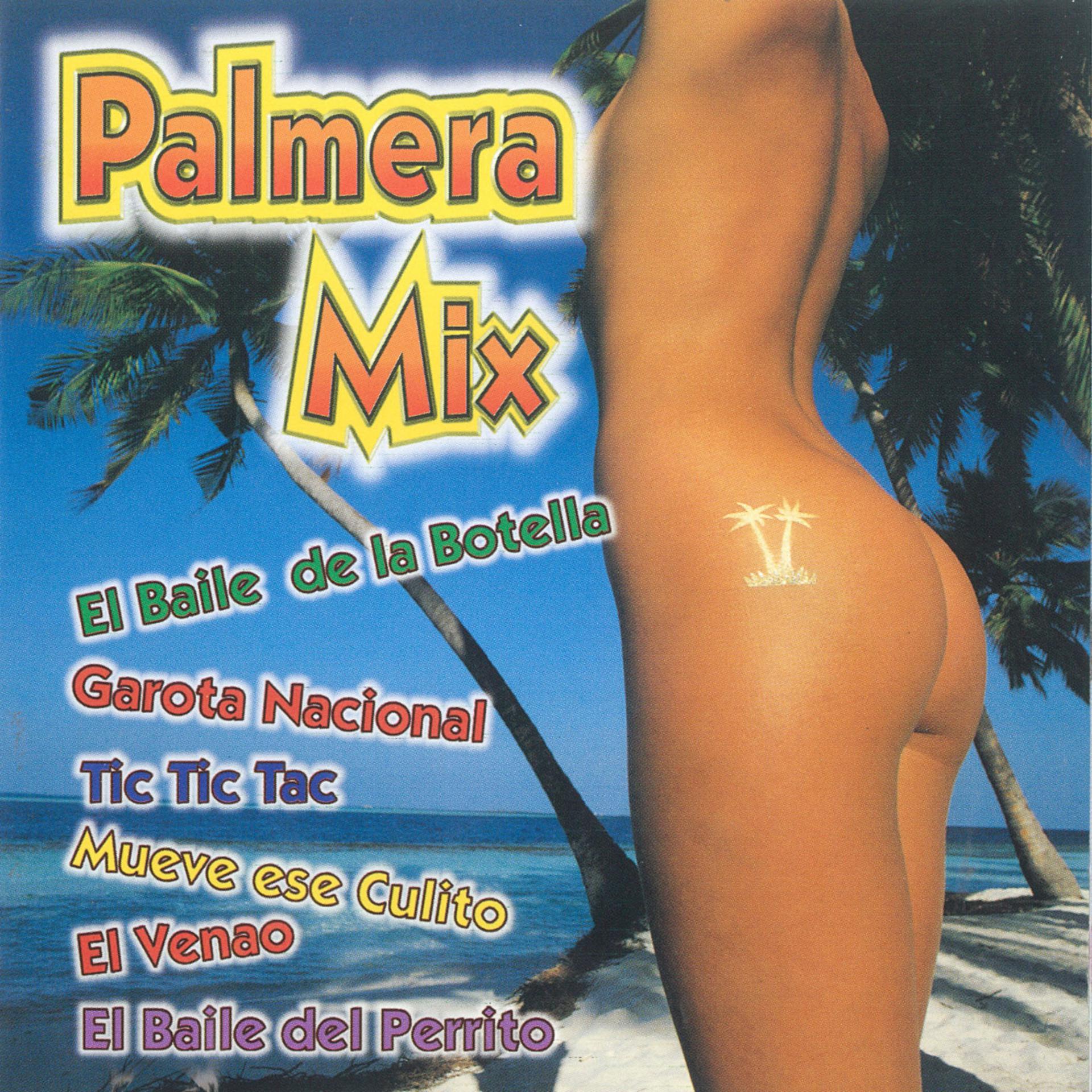 Постер альбома Palmera Mix