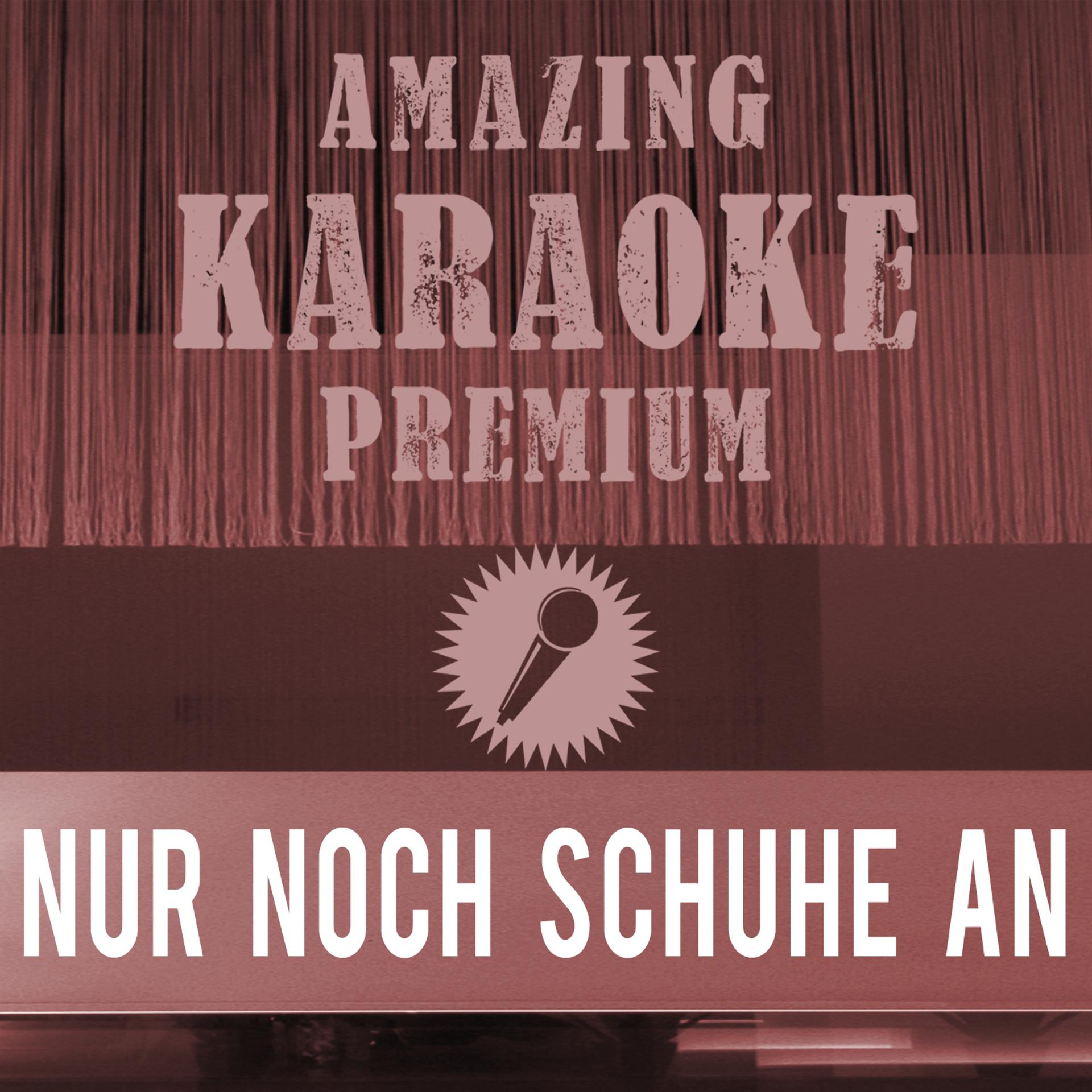 Постер альбома Nur noch Schuhe an! (Premium Karaoke Version)