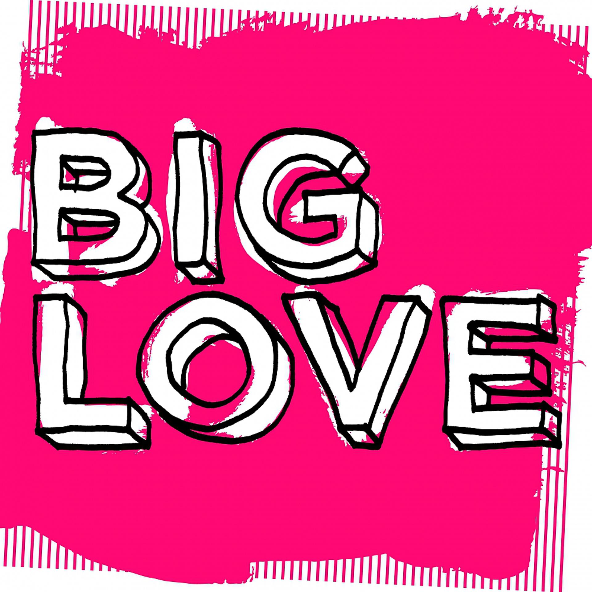 Постер альбома Big Love: Best Loved (Mixed by Seamus Haji)