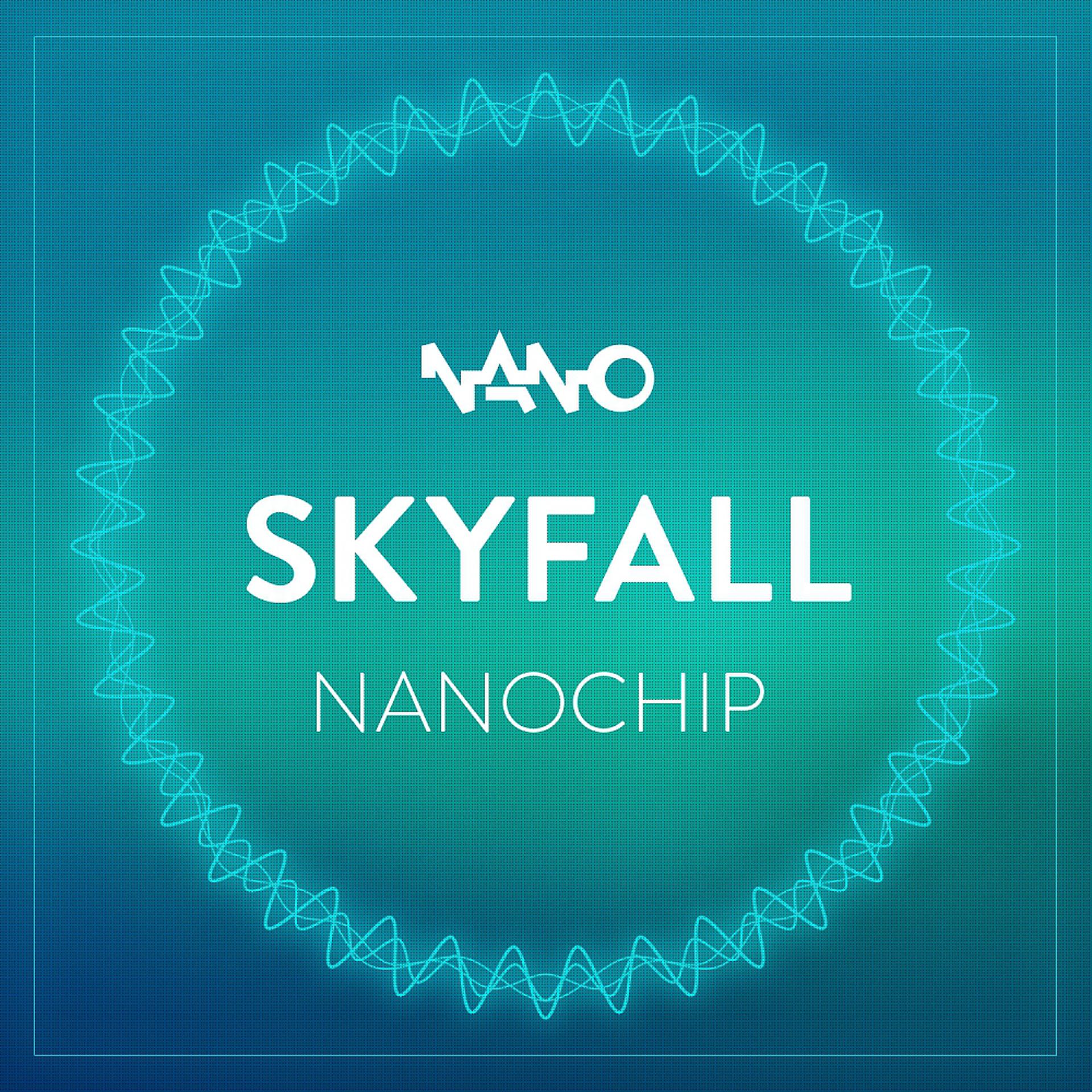 Постер альбома Nano Chip