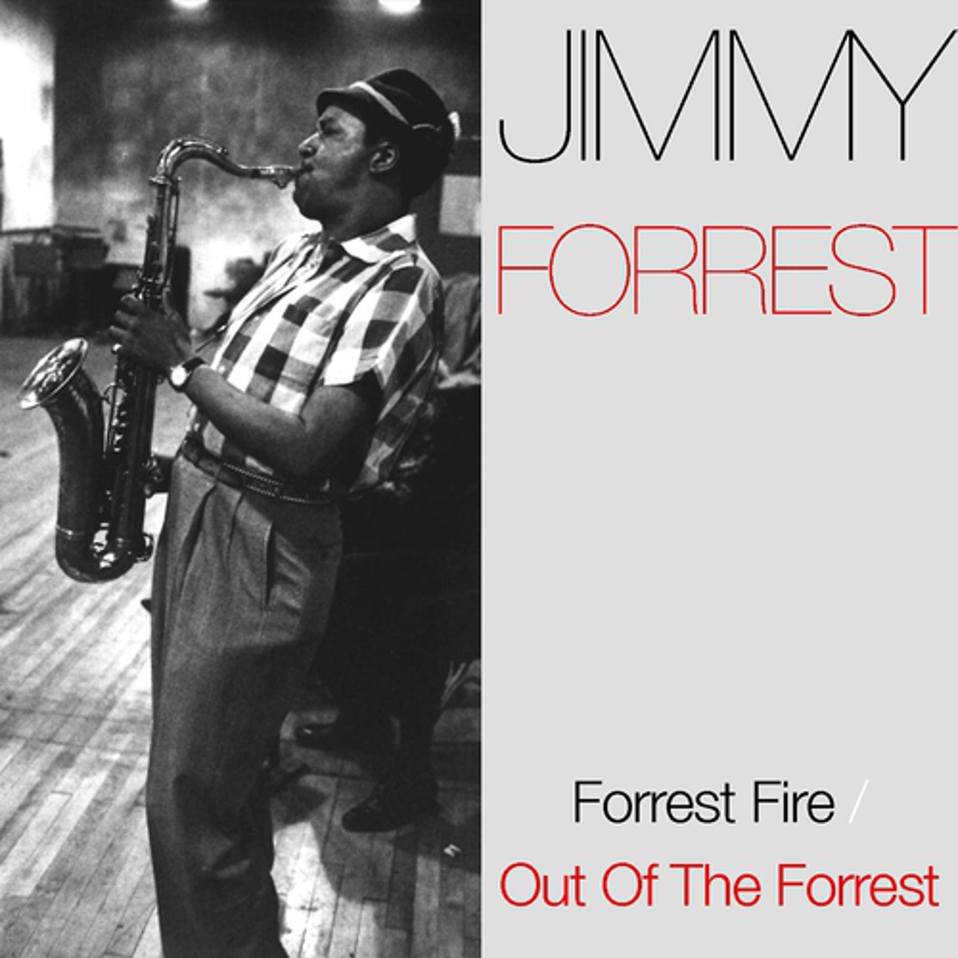 Постер альбома Forrest Fire / Out Of The Forrest
