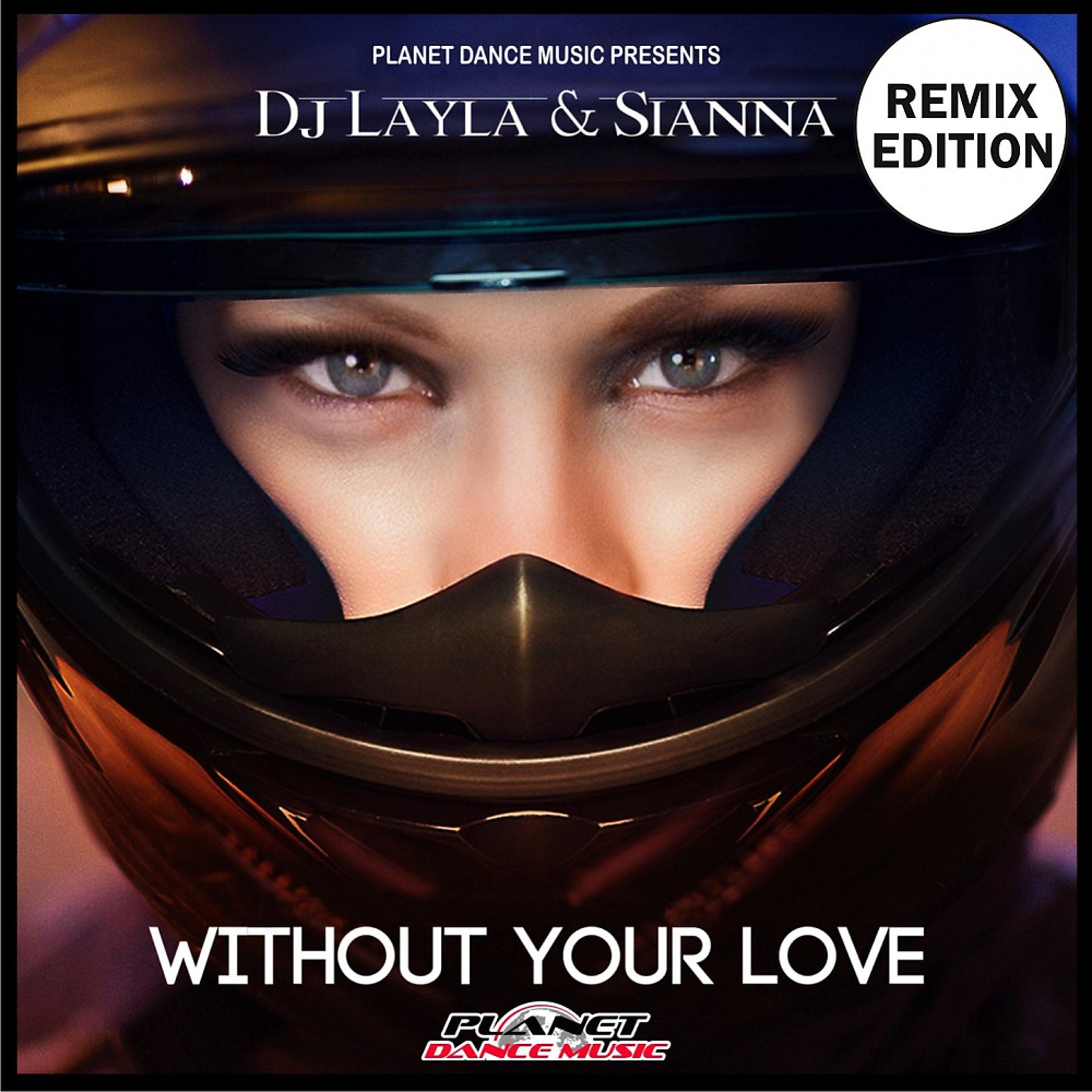 Постер альбома Without Your Love (Remix Edition)