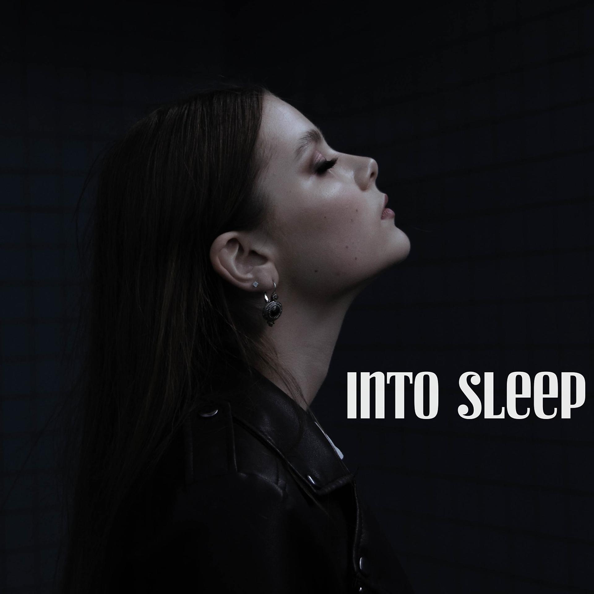 Постер альбома Into Sleep