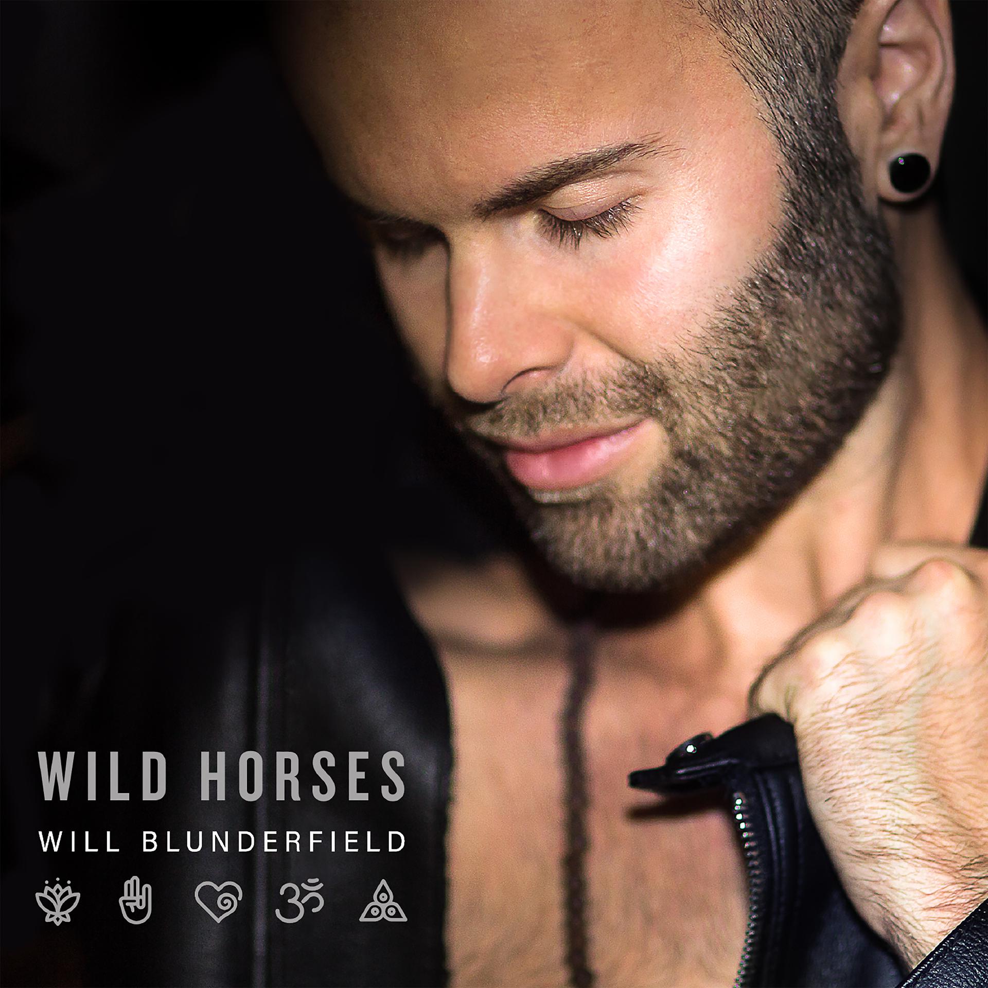 Постер альбома Wild Horses (Special Edition)