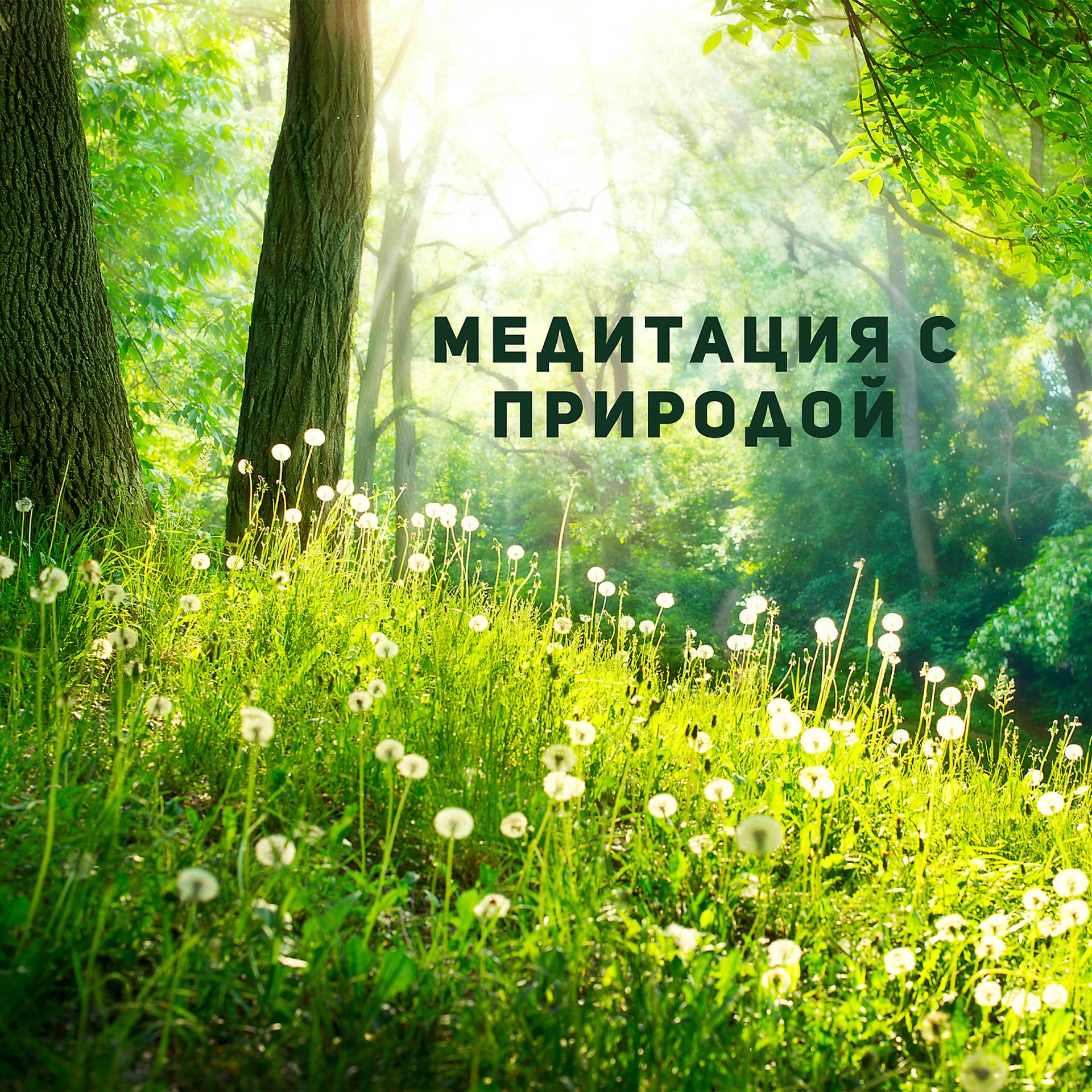 Постер альбома Медитация с природой: блаженство и успокаивающее действие для души
