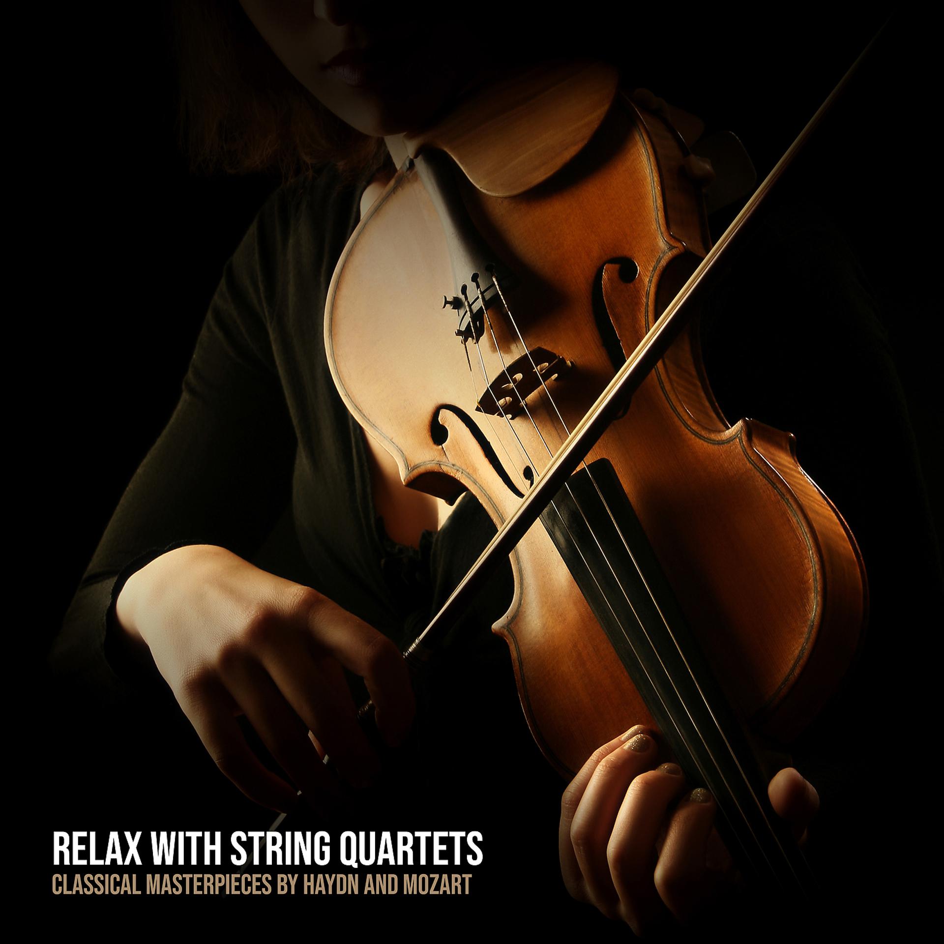 Постер альбома Relax with String Quartets: Classical Masterpieces by Haydn and Mozart