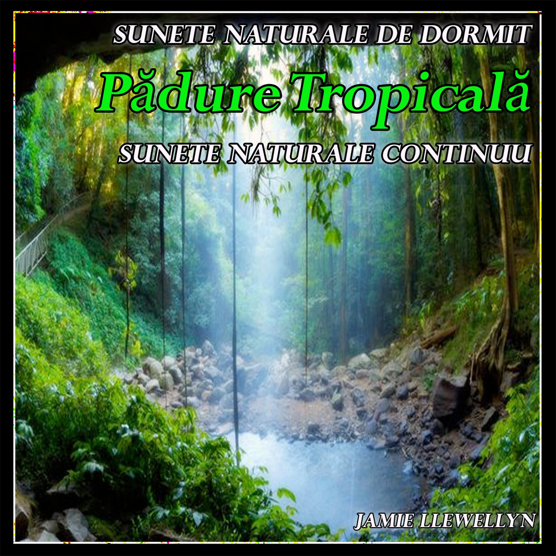 Постер альбома Sunete naturale de dormit: Pădure Tropicală