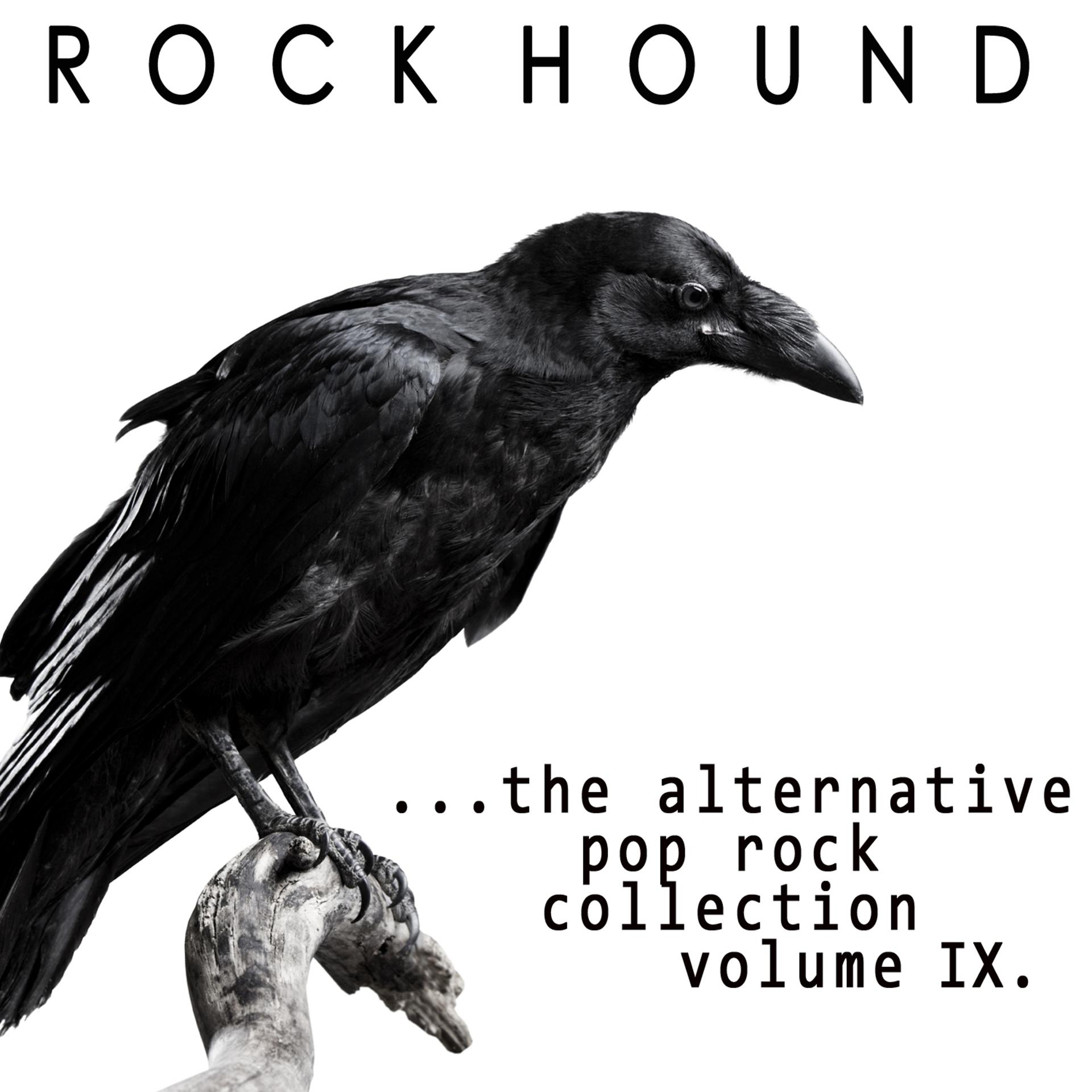 Постер альбома Rock Hound: Alternative Pop Rock, Vol. 9