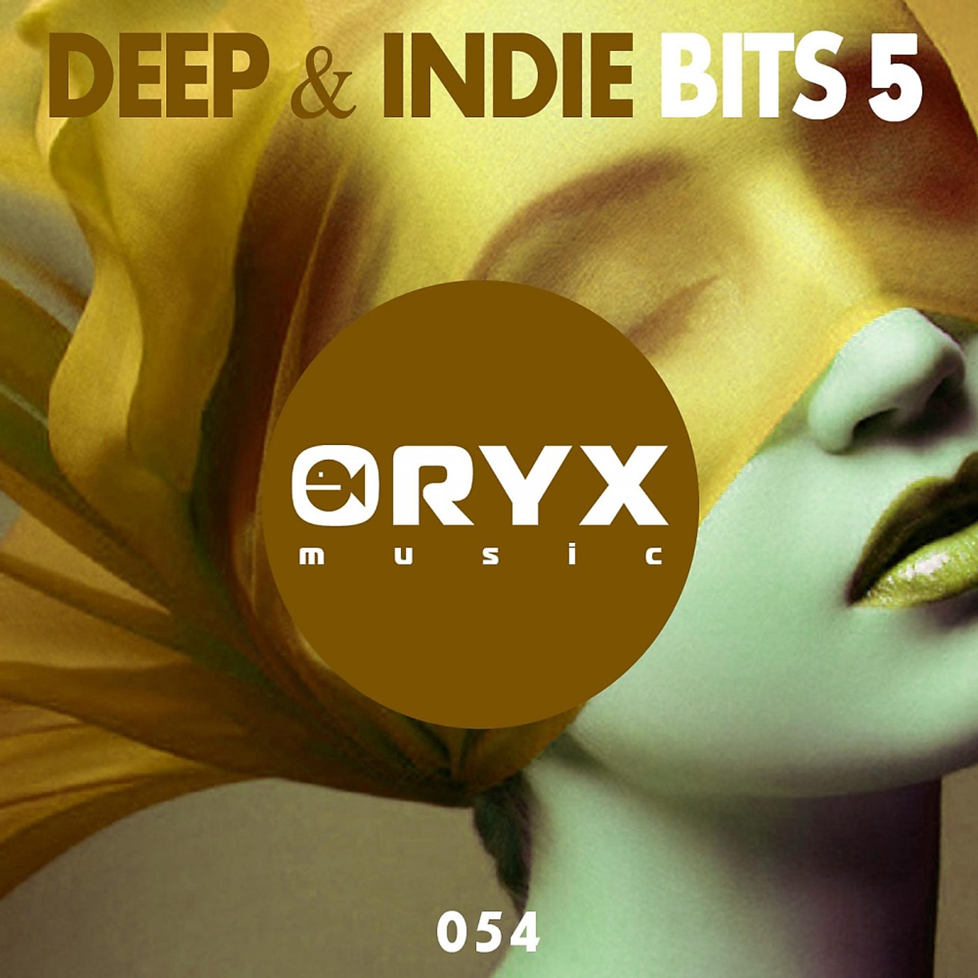 Постер альбома Deep & Indie Bits 5