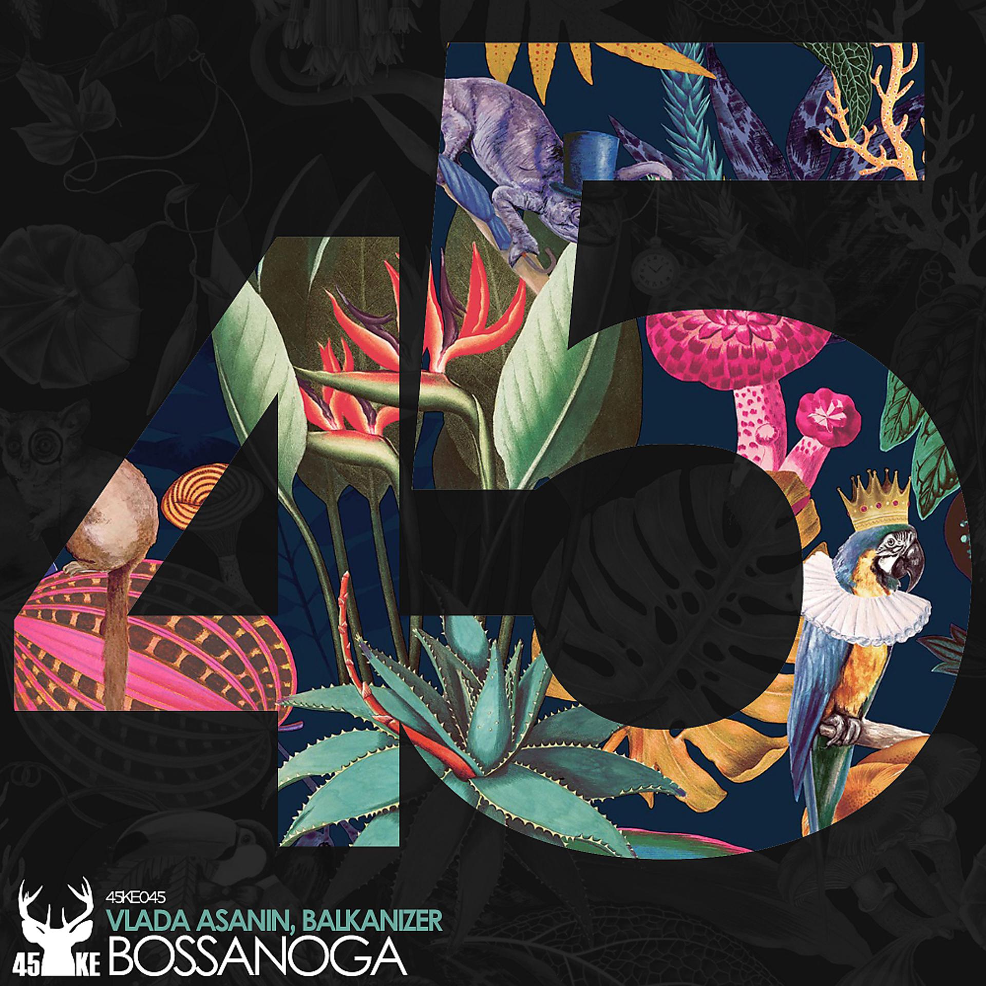 Постер альбома BossaNoga