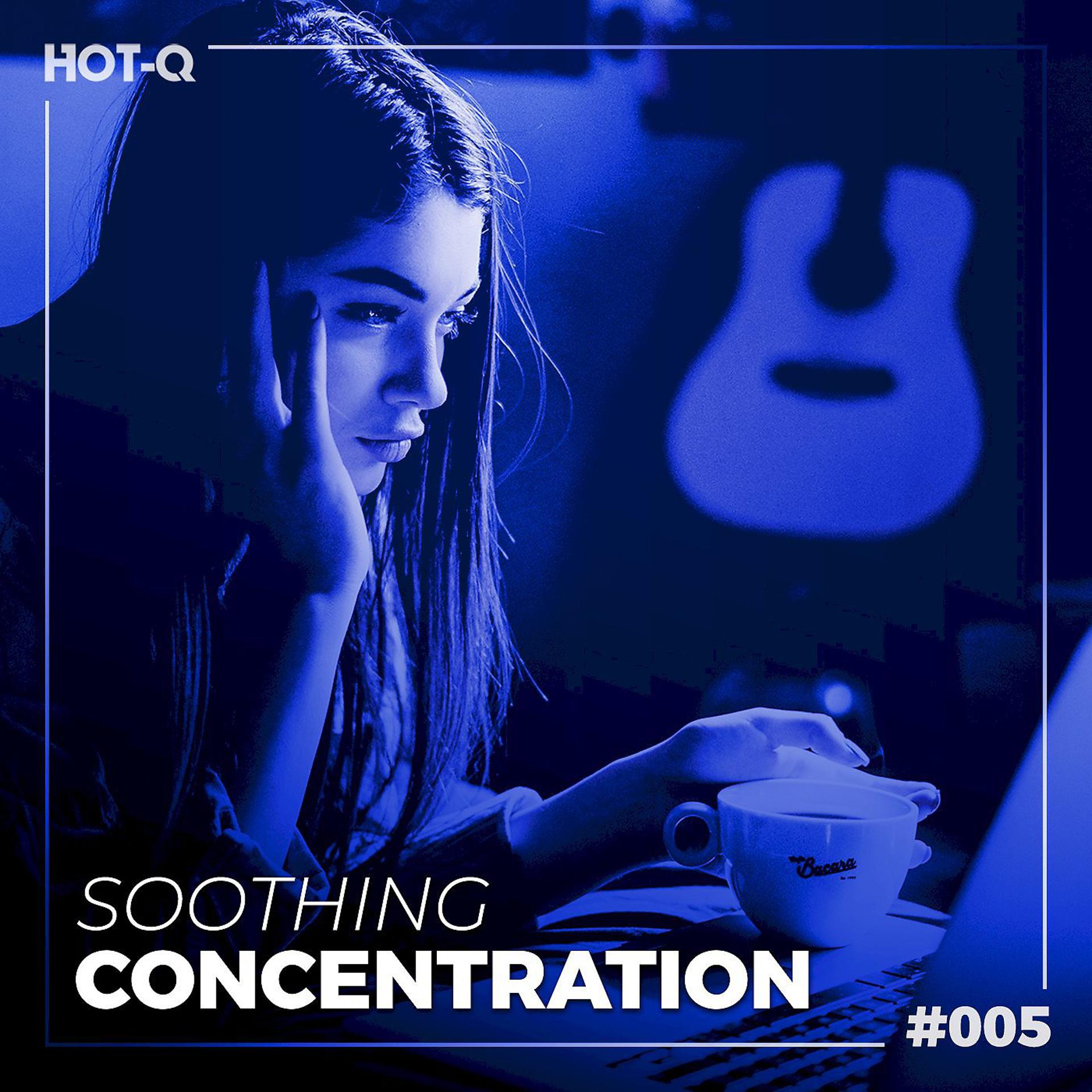Постер альбома Soothing Concentration 005