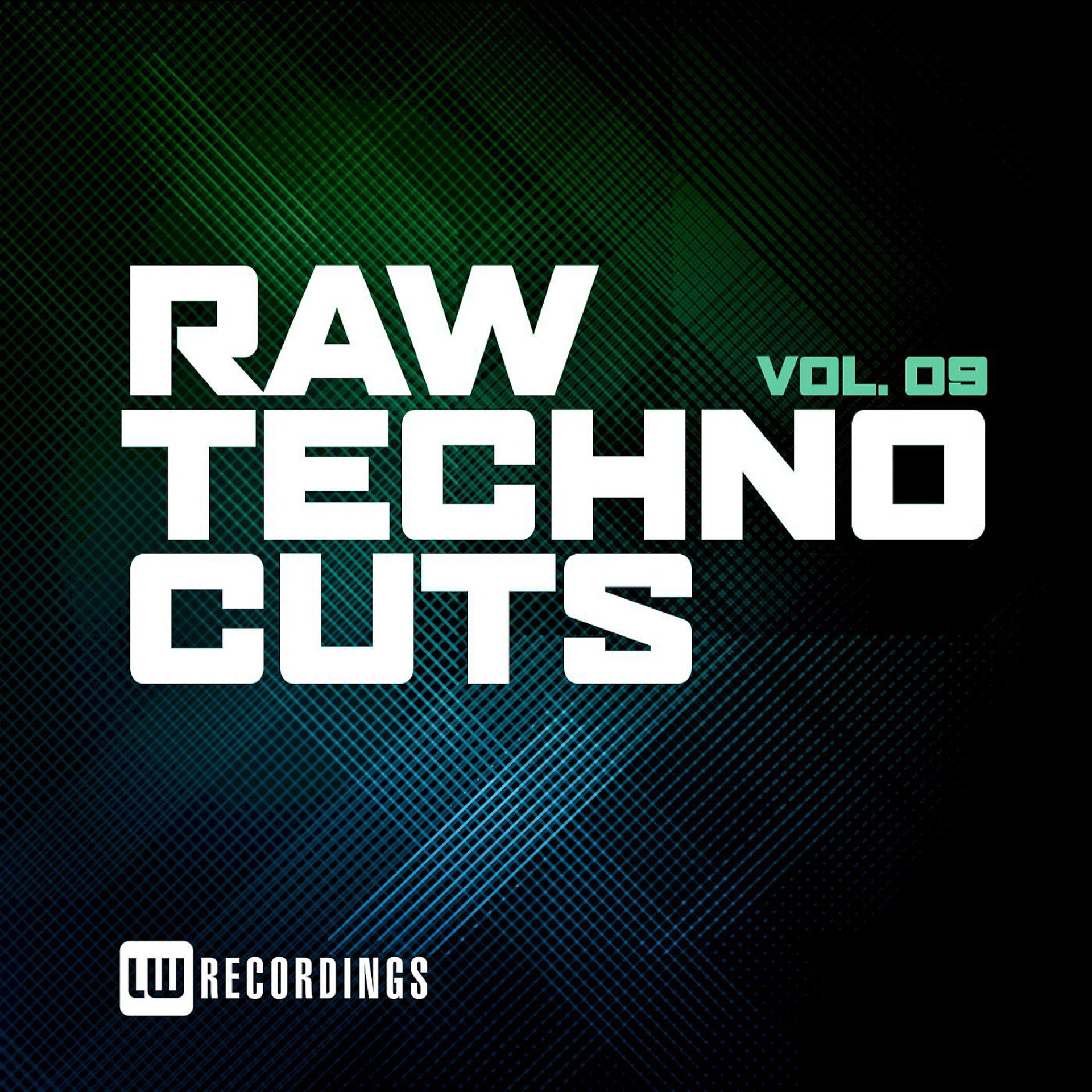 Постер альбома Raw Techno Cuts, Vol. 09