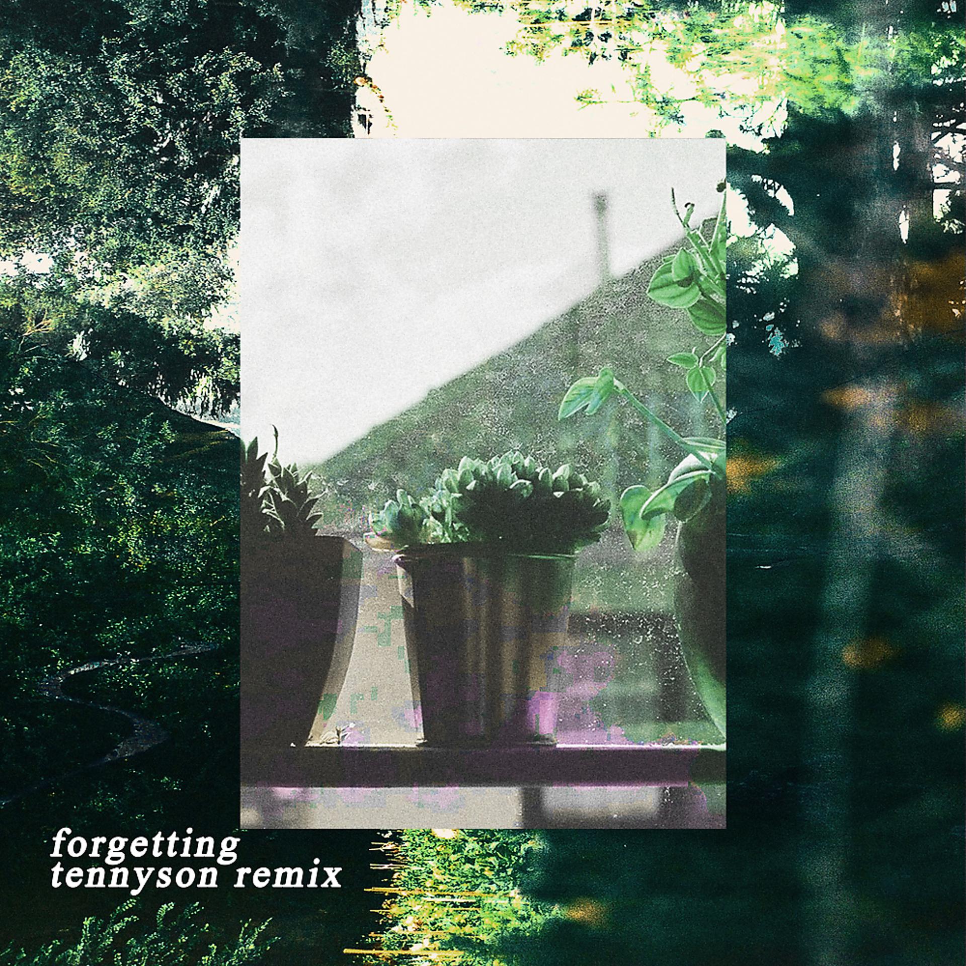 Постер альбома Forgetting (Tennyson Remix)