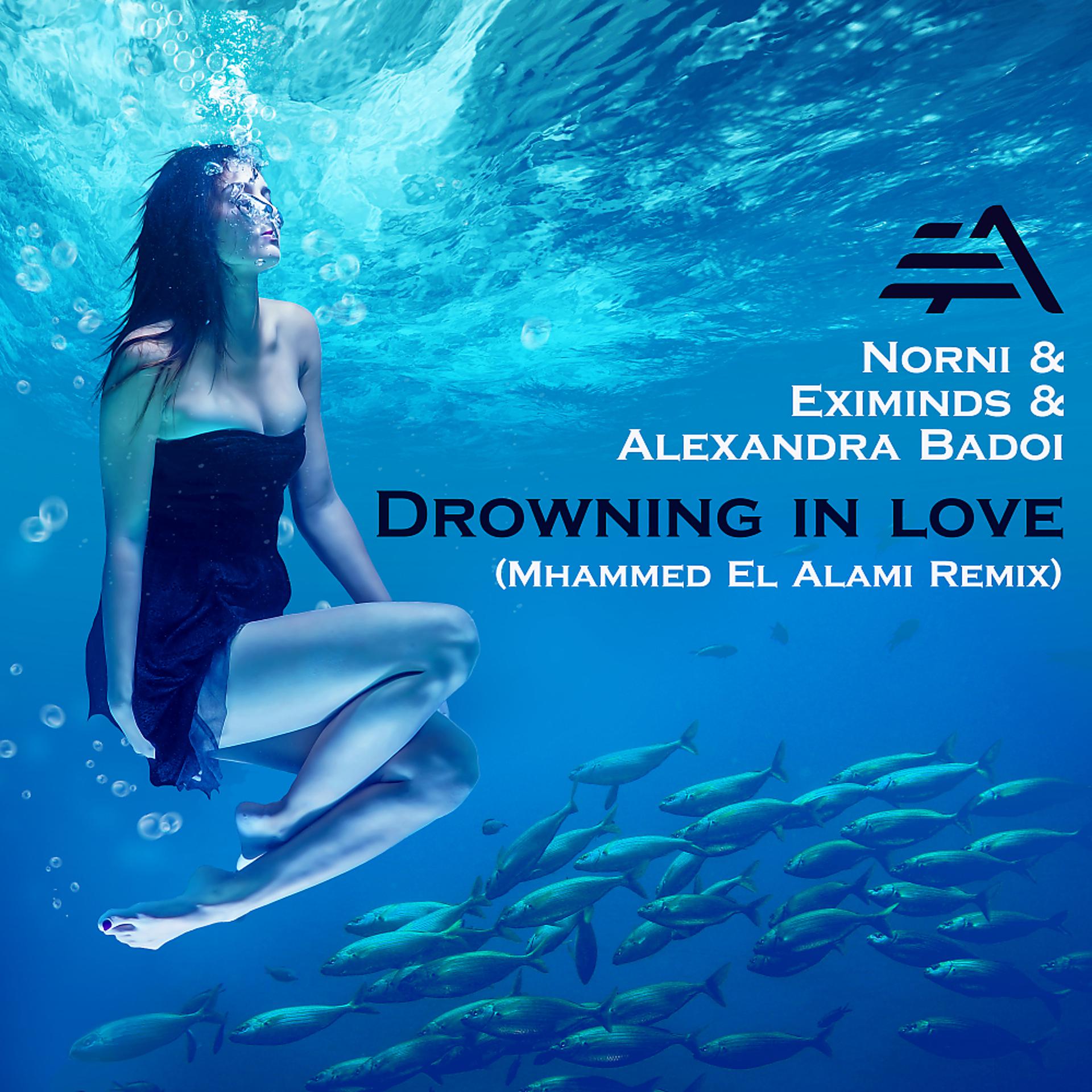 Постер альбома Drowning In Love (Mhammed El Alami Remix)