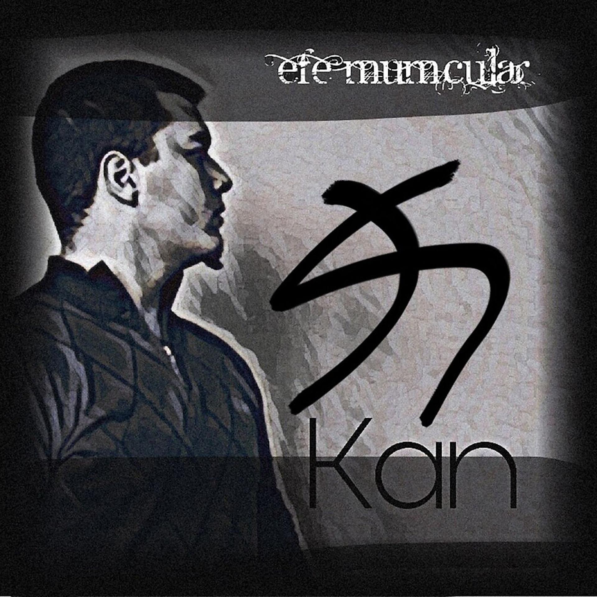 Постер альбома Kan