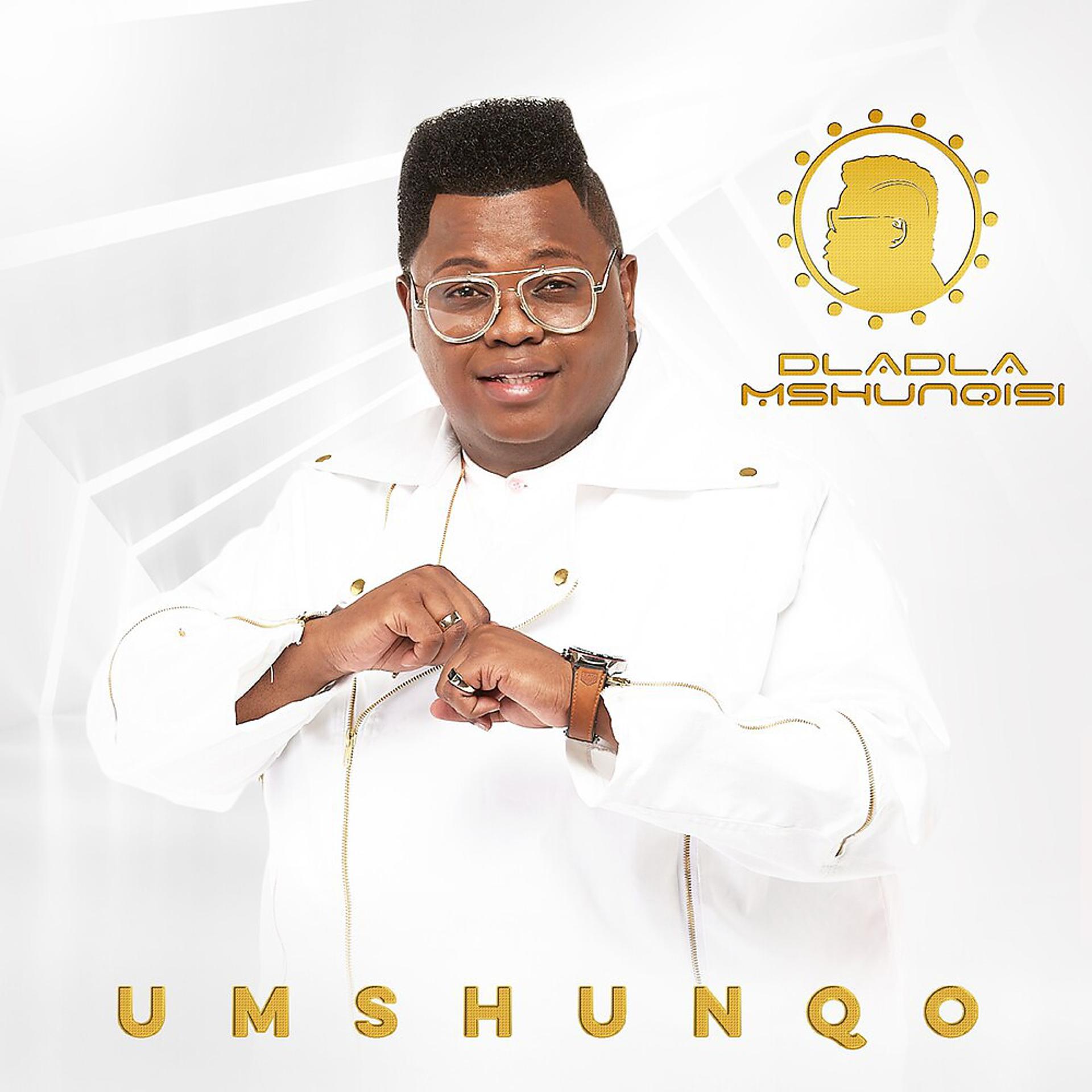 Постер альбома Umshunqo