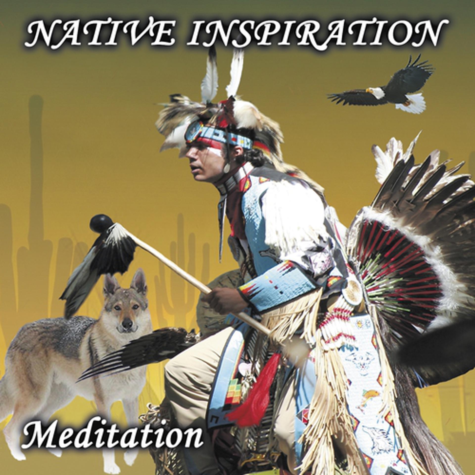 Постер альбома Native Inspiration