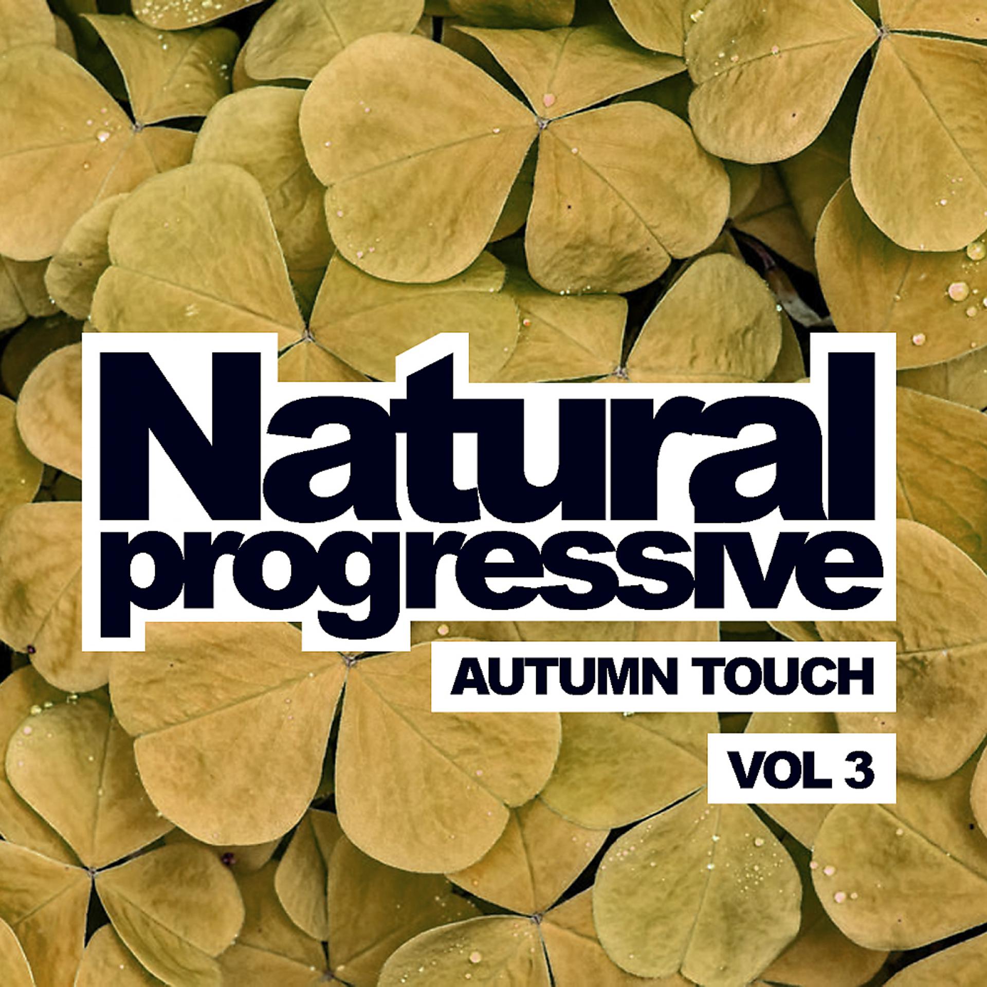 Постер альбома Natural Progressive, Vol. 3: Autumn Touch