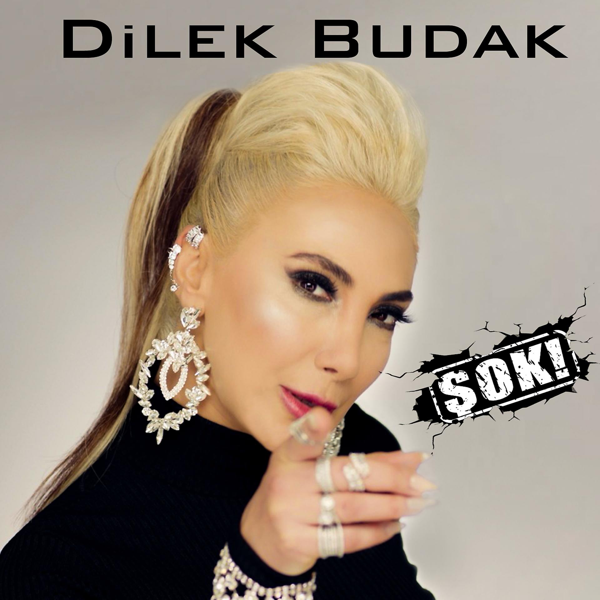 Постер альбома Şok