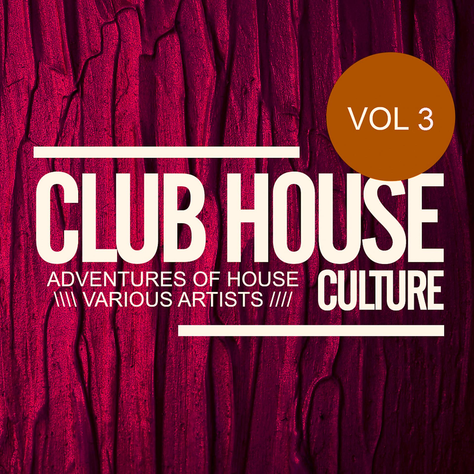 Постер альбома Club House Culture: Adventures Of House, Vol.3