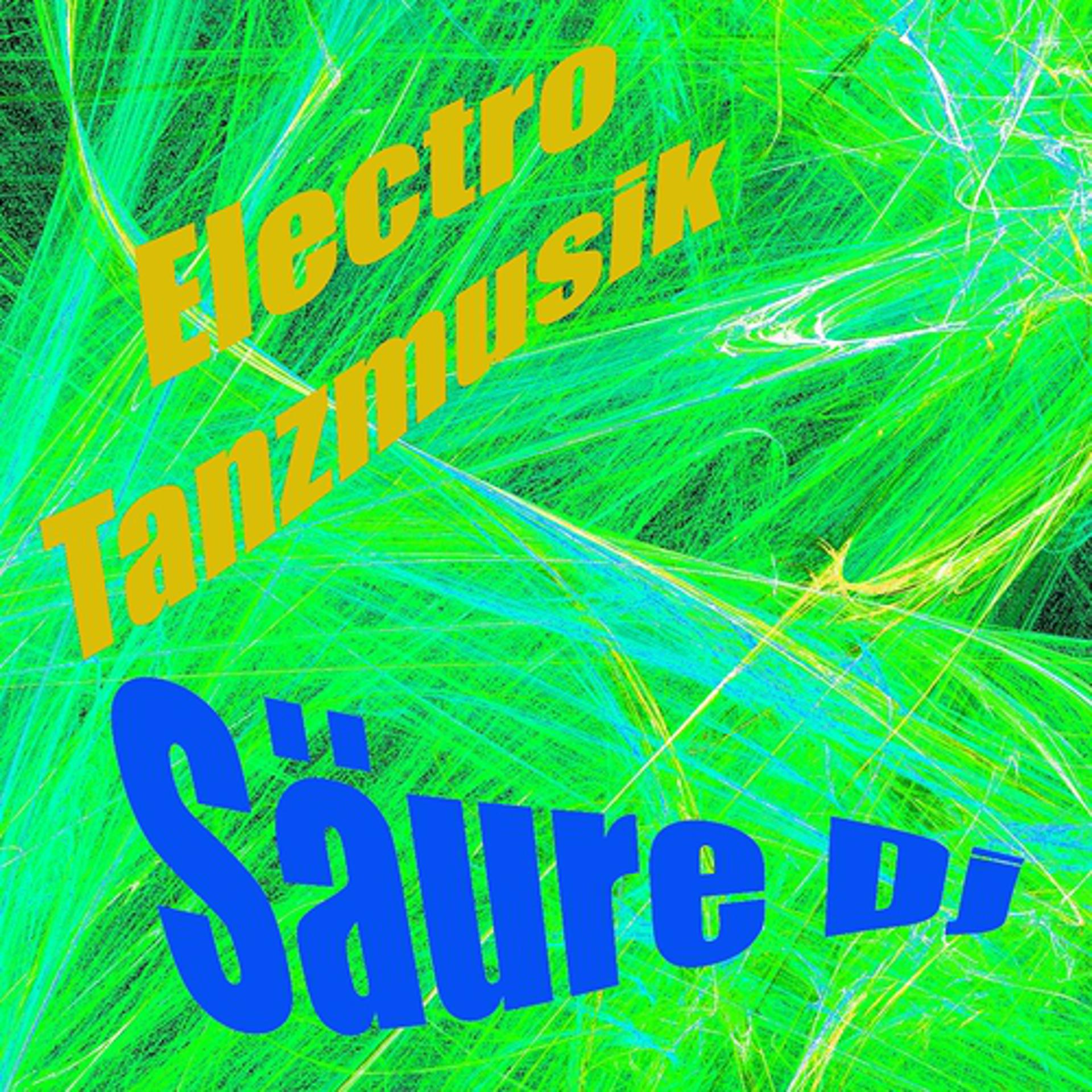Постер альбома Electro tanzmusik
