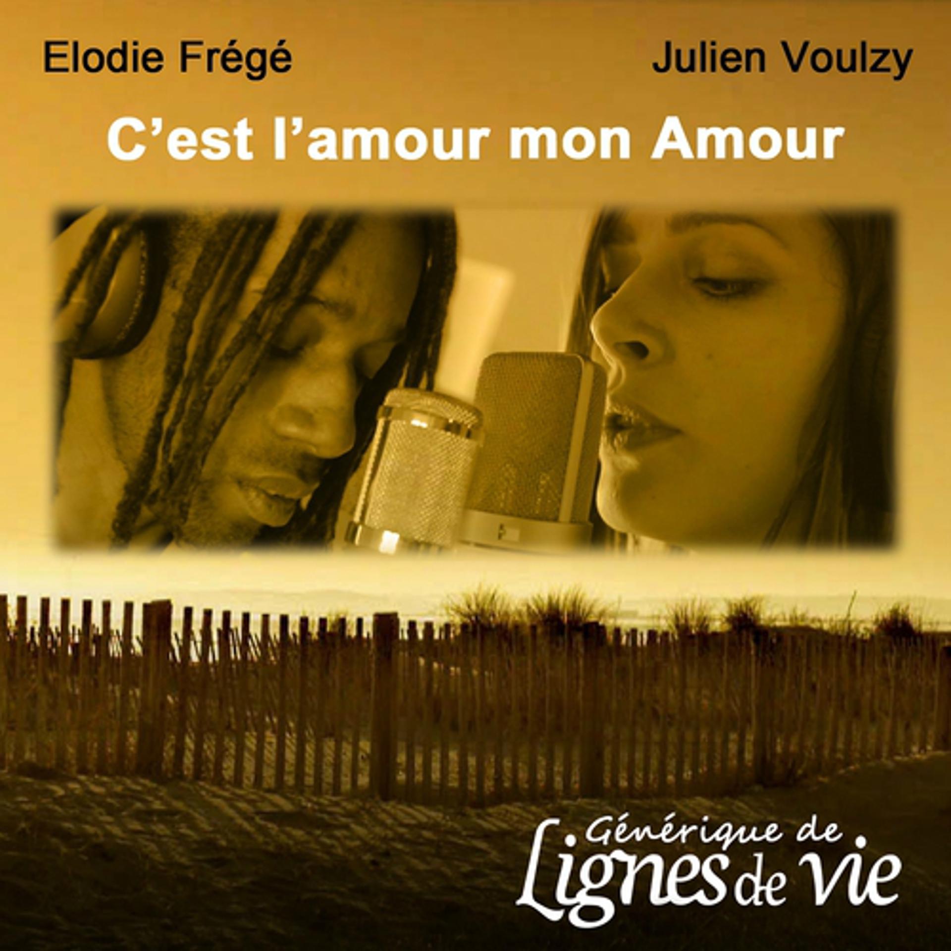 Постер альбома C'est l'amour mon Amour
