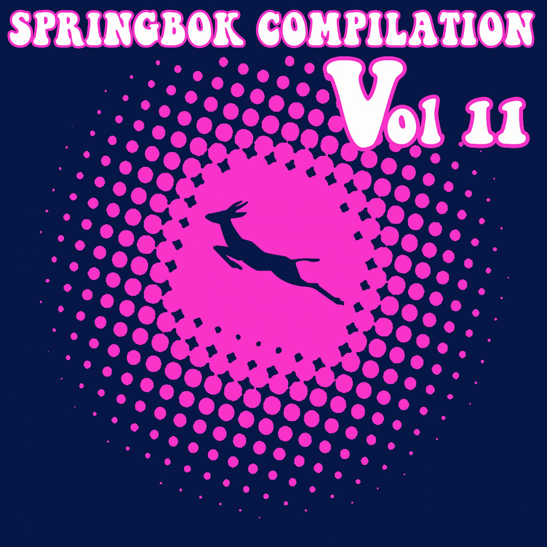 Постер альбома Springbok Compilation, Vol. 11