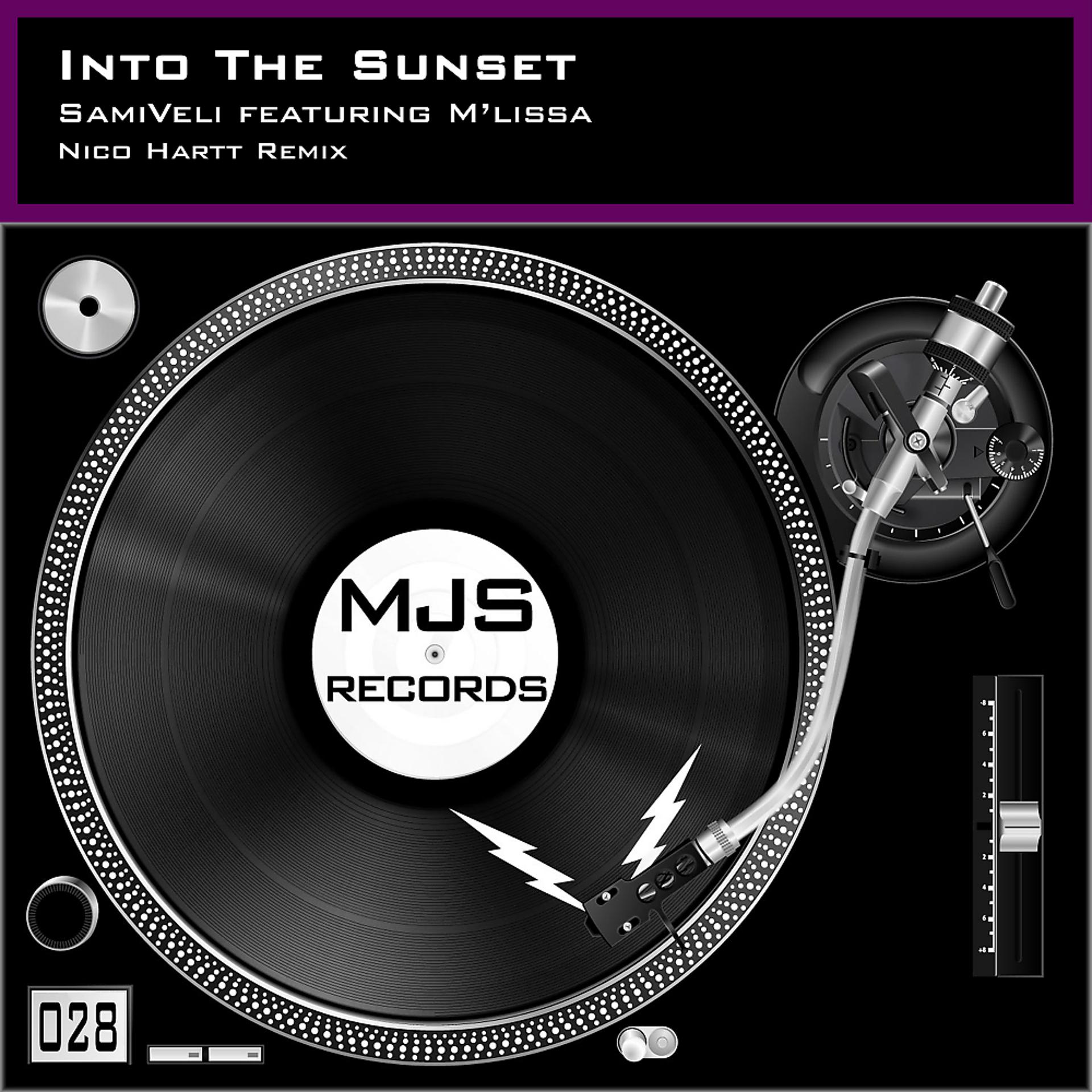 Постер альбома Into The Sunset (Nico Hartt Remix)