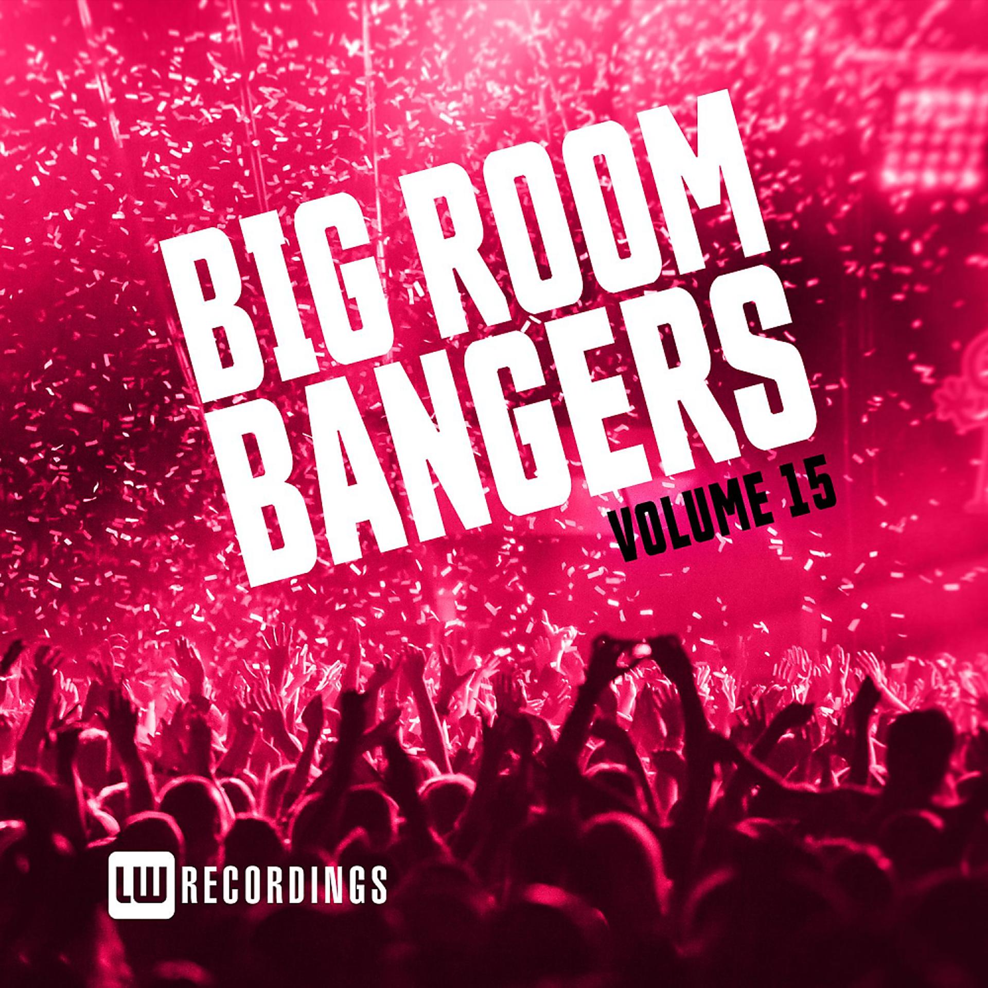 Постер альбома Big Room Bangers, Vol. 15