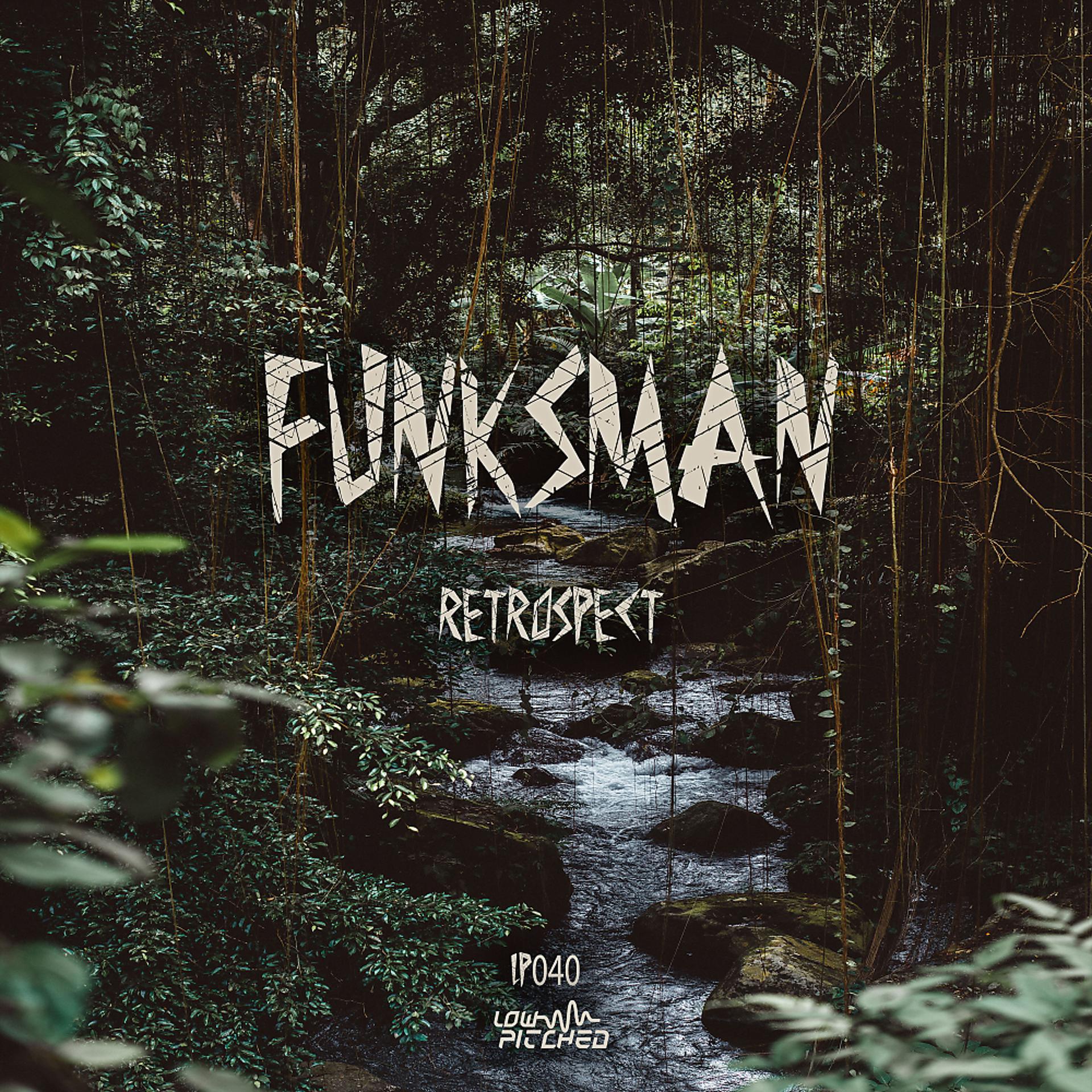 Постер альбома Funksman