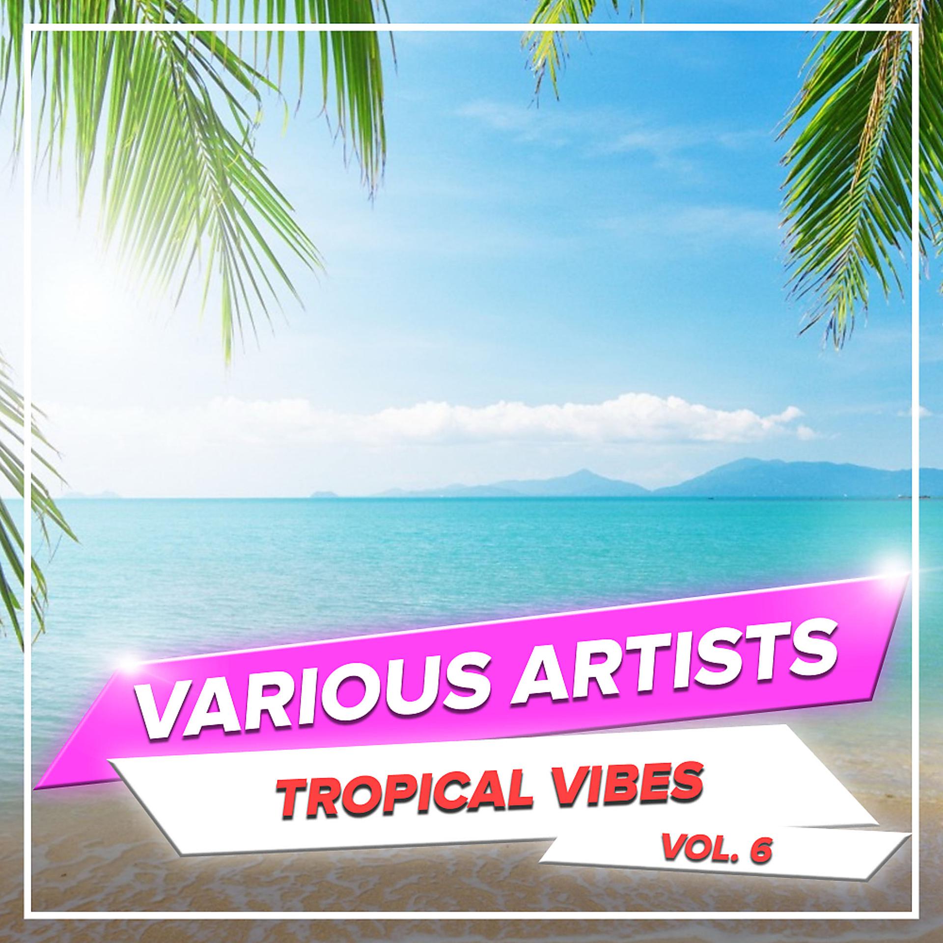 Постер альбома Tropical Vibes, Vol. 6