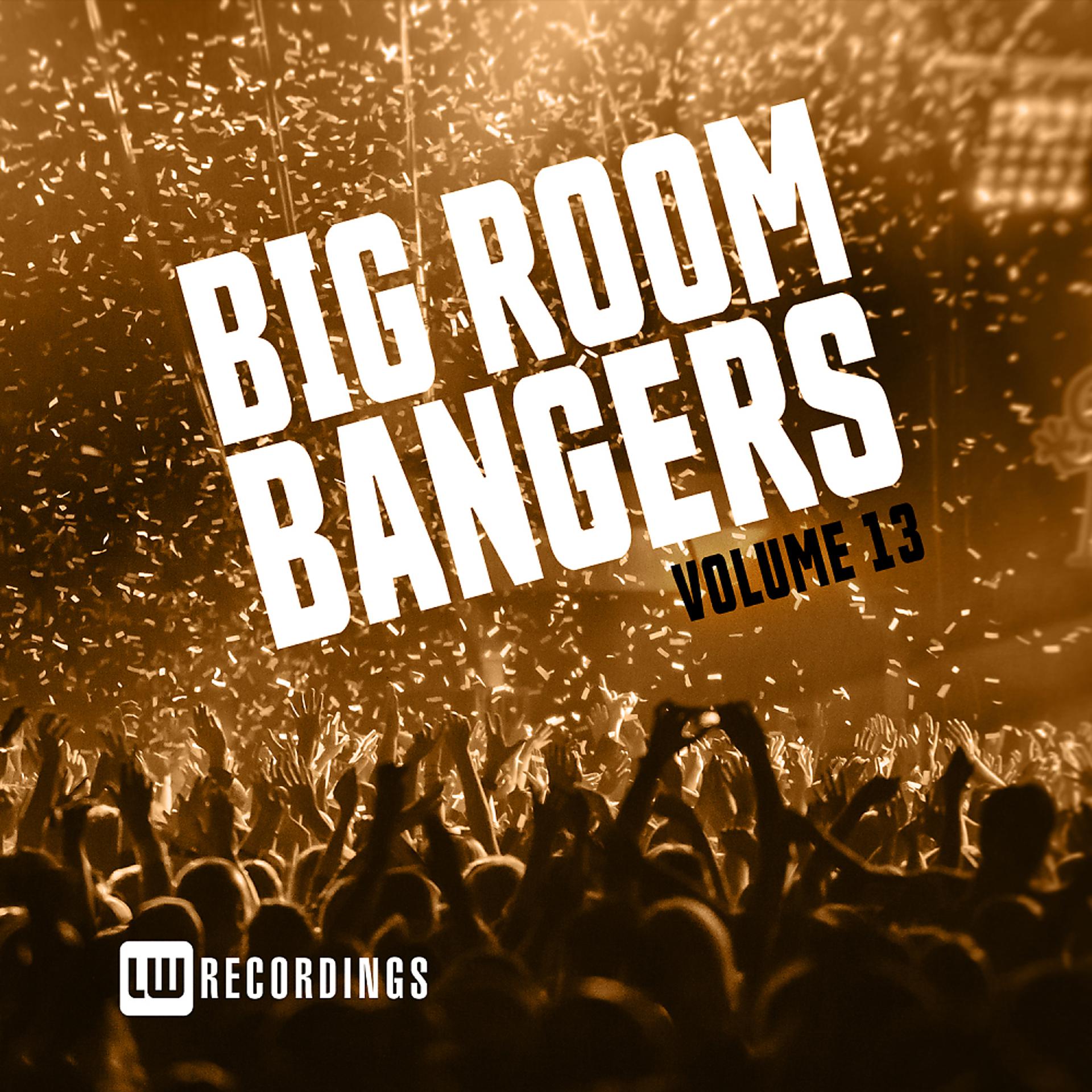 Постер альбома Big Room Bangers, Vol. 13