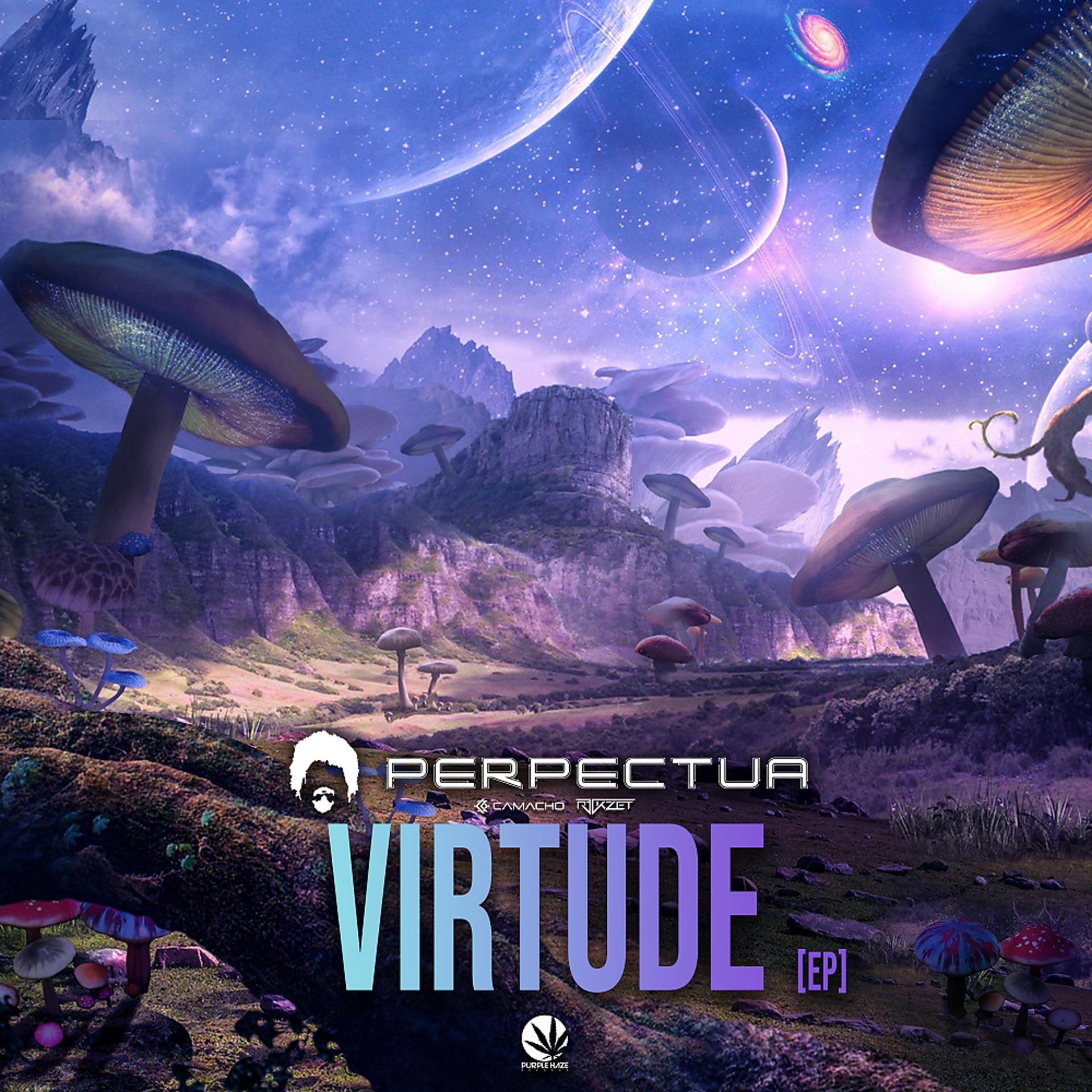 Постер альбома Virtude