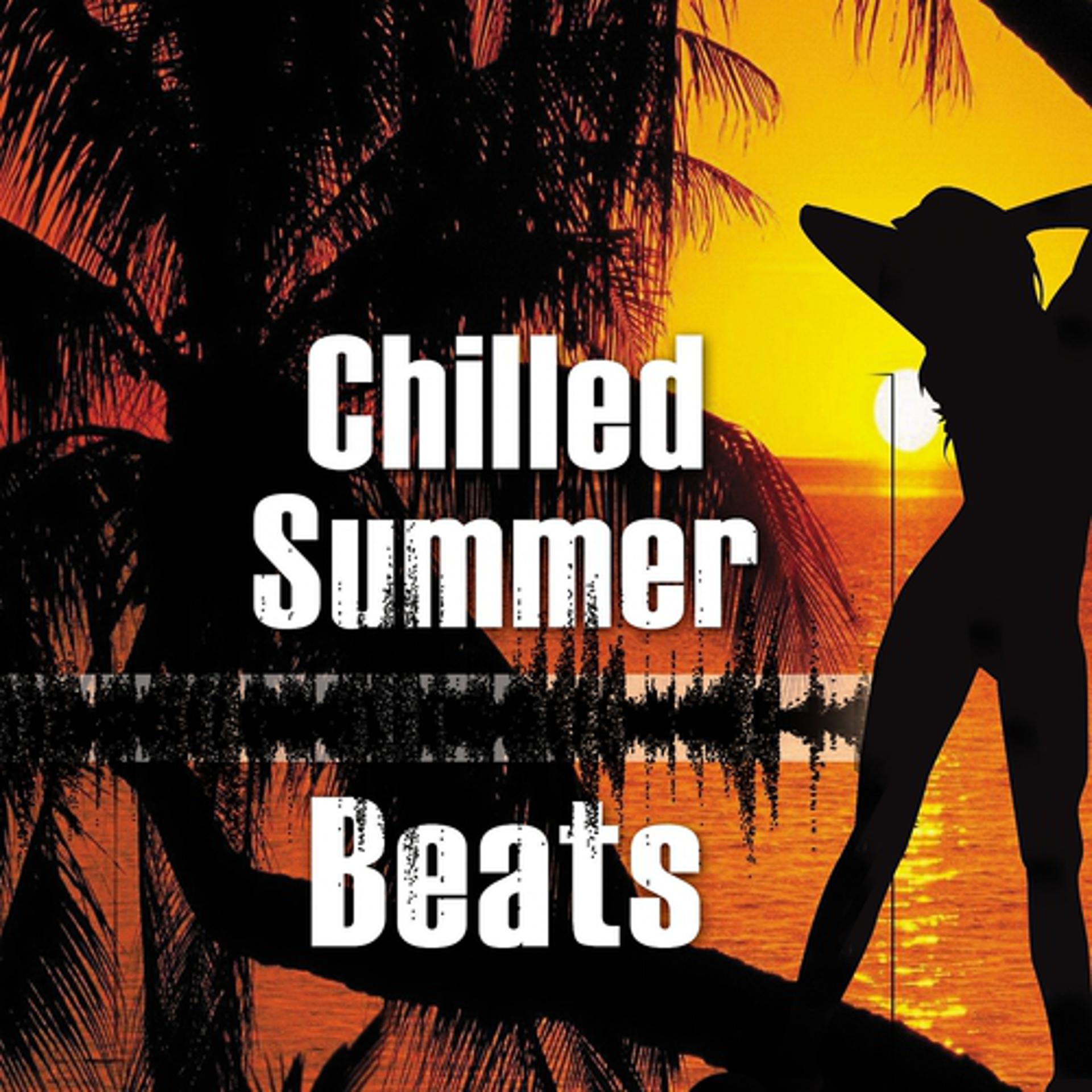 Постер альбома Chilled Summer Beats
