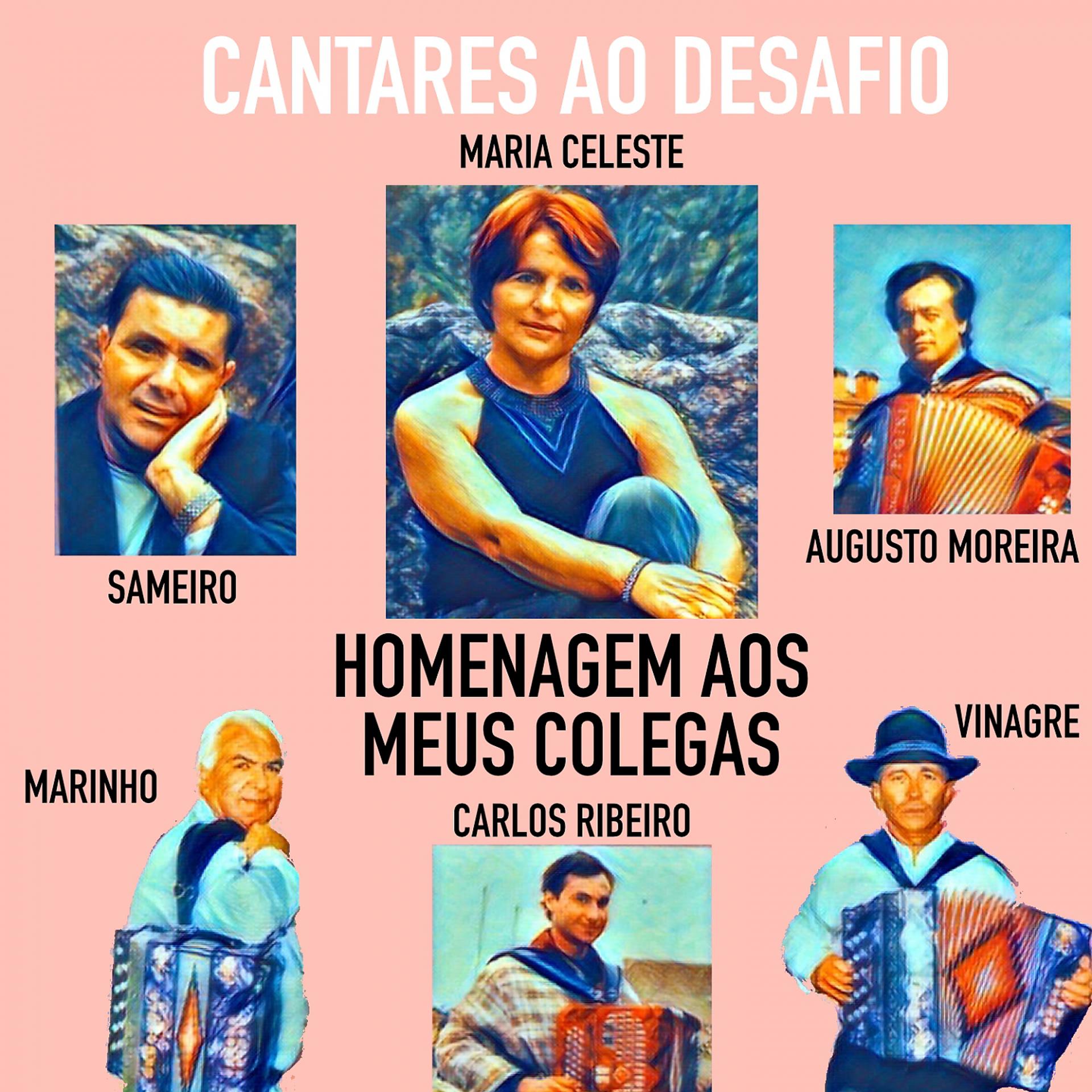 Постер альбома Homenagem aos Meus Colegas
