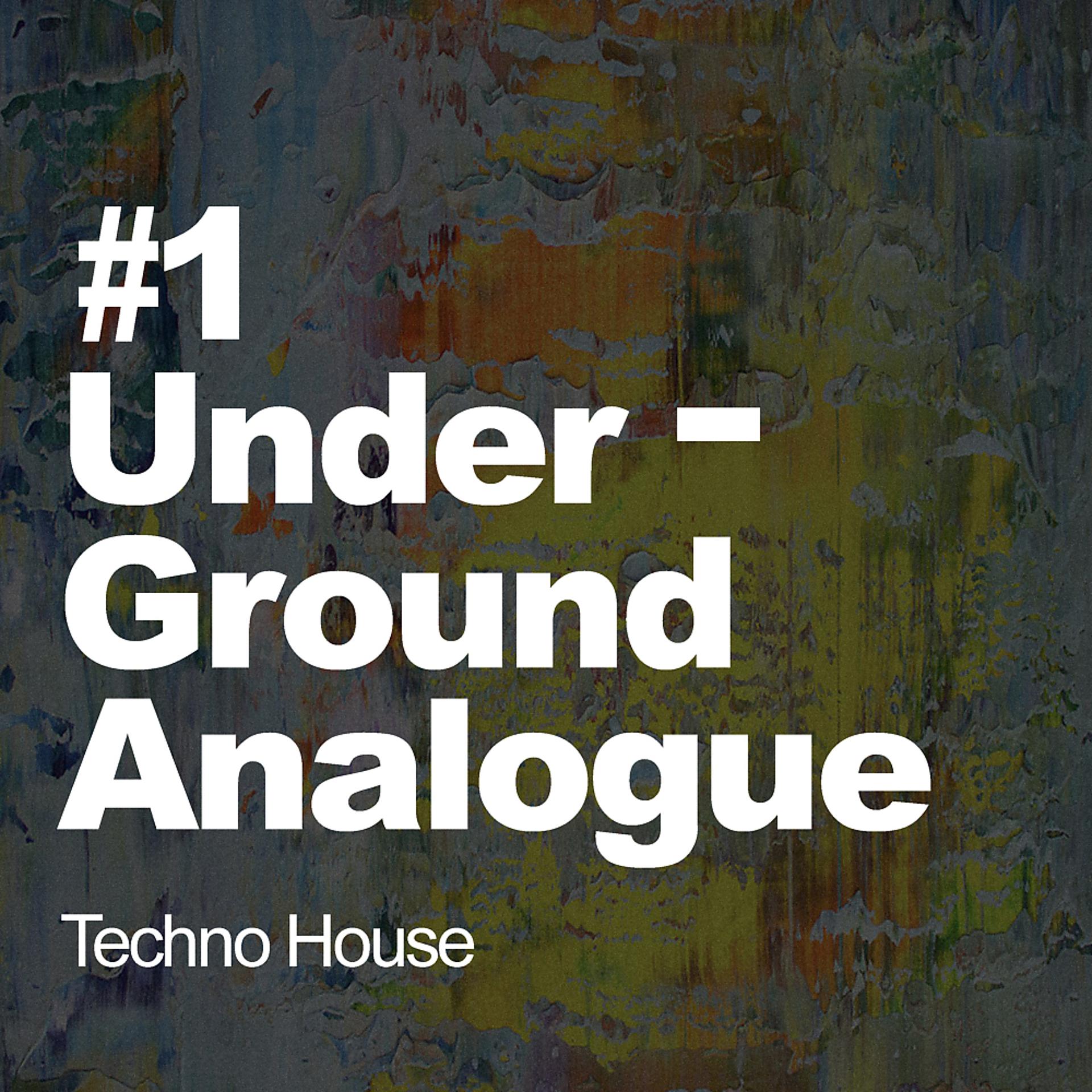 Постер альбома #1 Underground Analogue