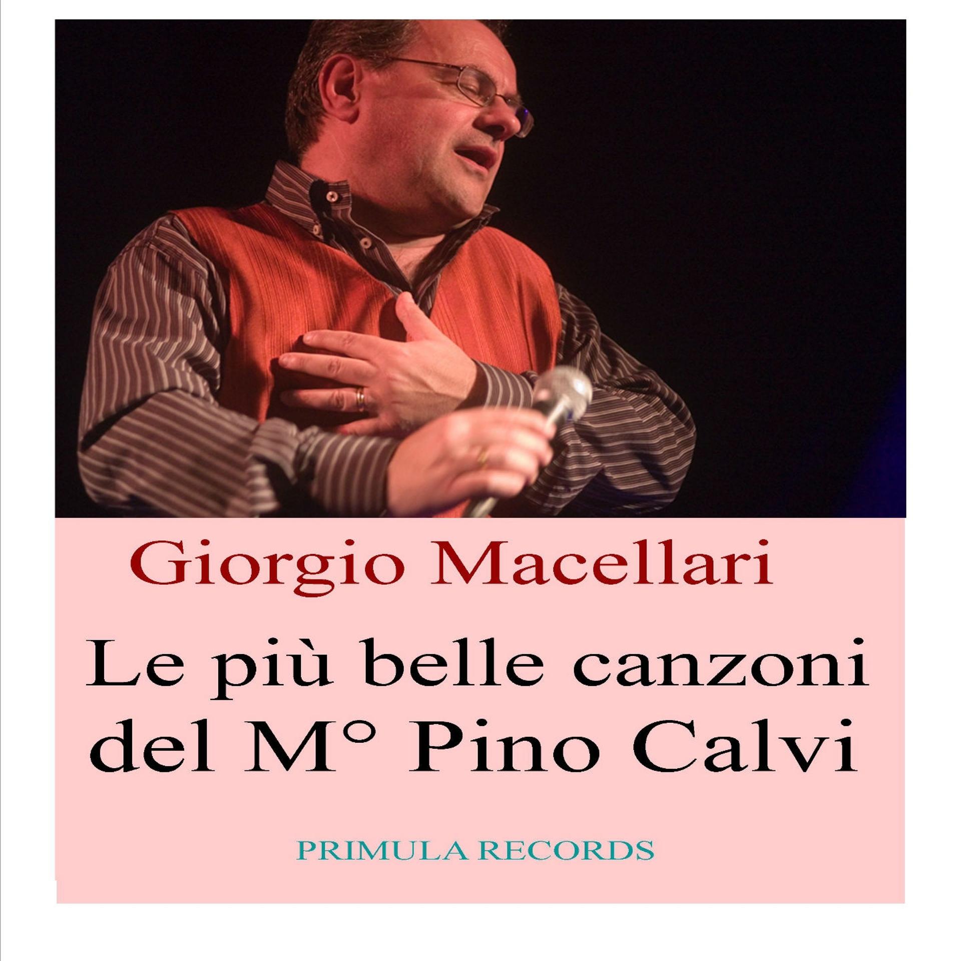 Постер альбома Le più belle canzoni del M° Pino Calvi