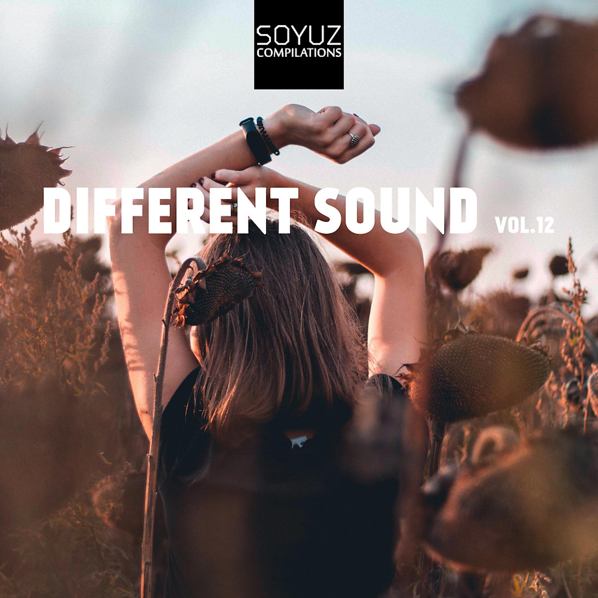 Постер альбома Different Sound, Vol. 12