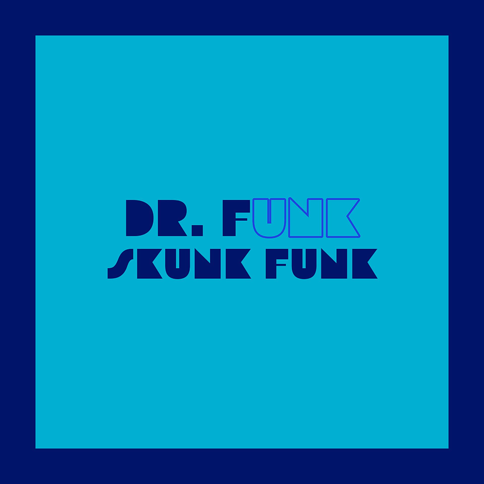 Постер альбома Skunk Funk