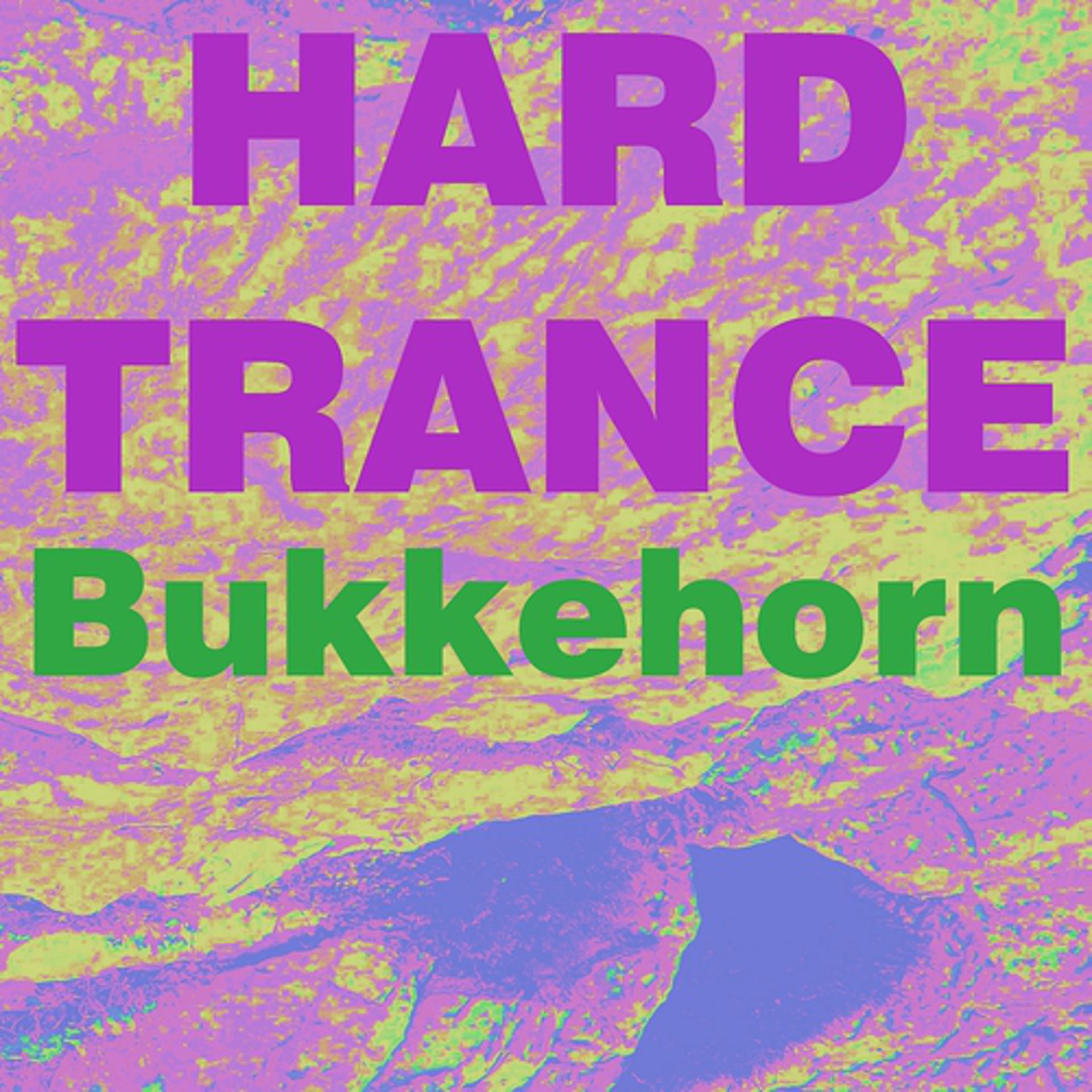 Постер альбома Hard trance musikk