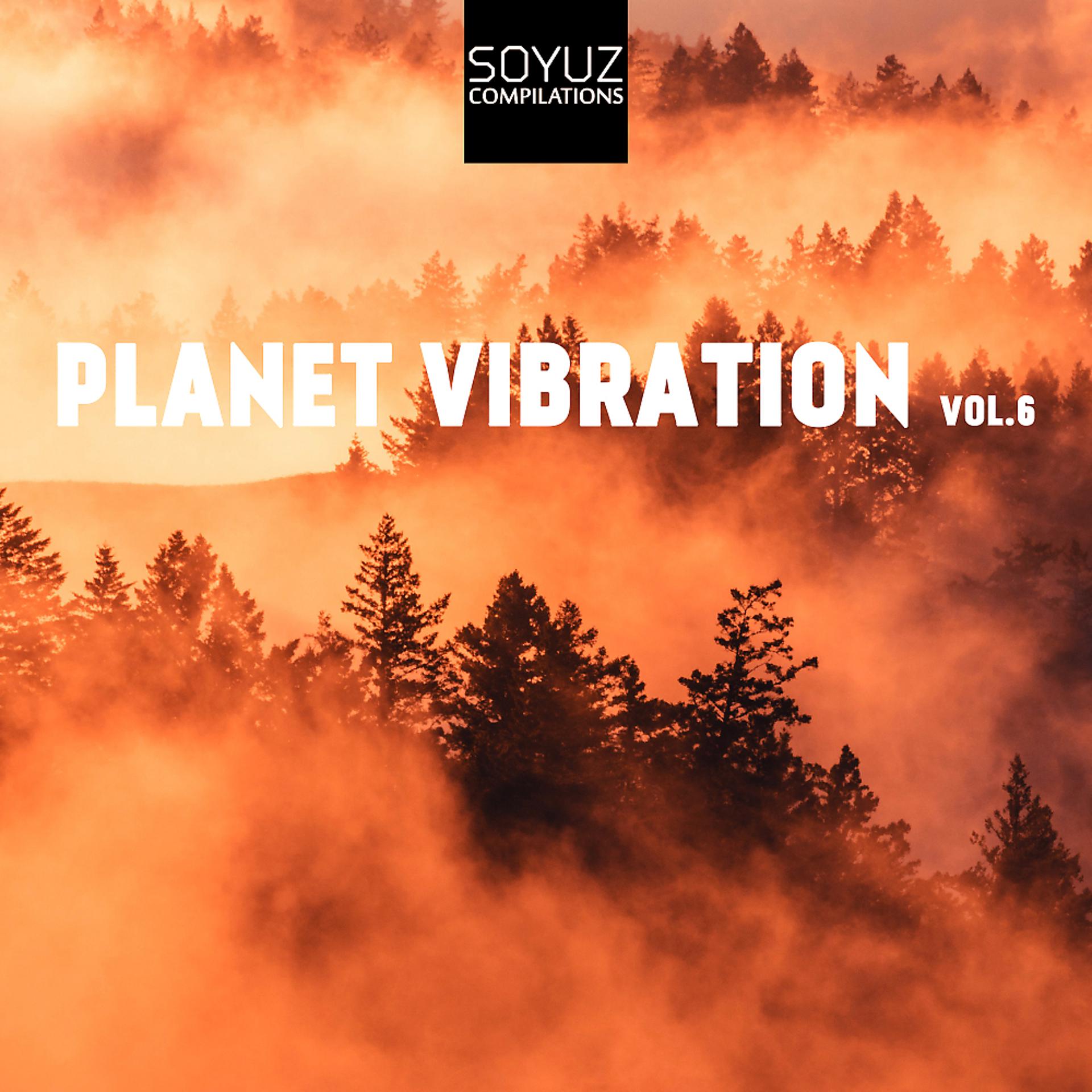 Постер альбома Planet Vibration, Vol. 6