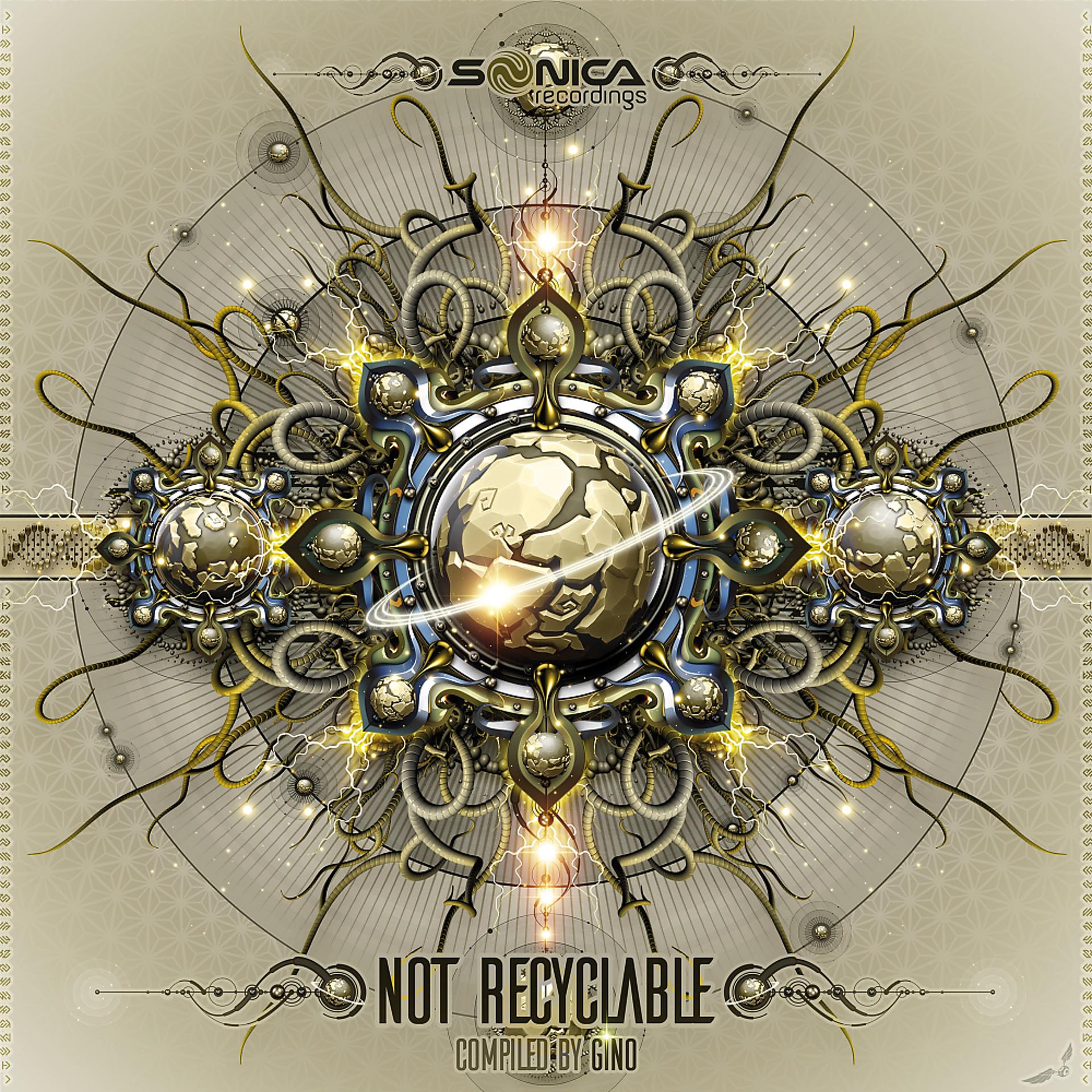 Постер альбома Not Recyclable