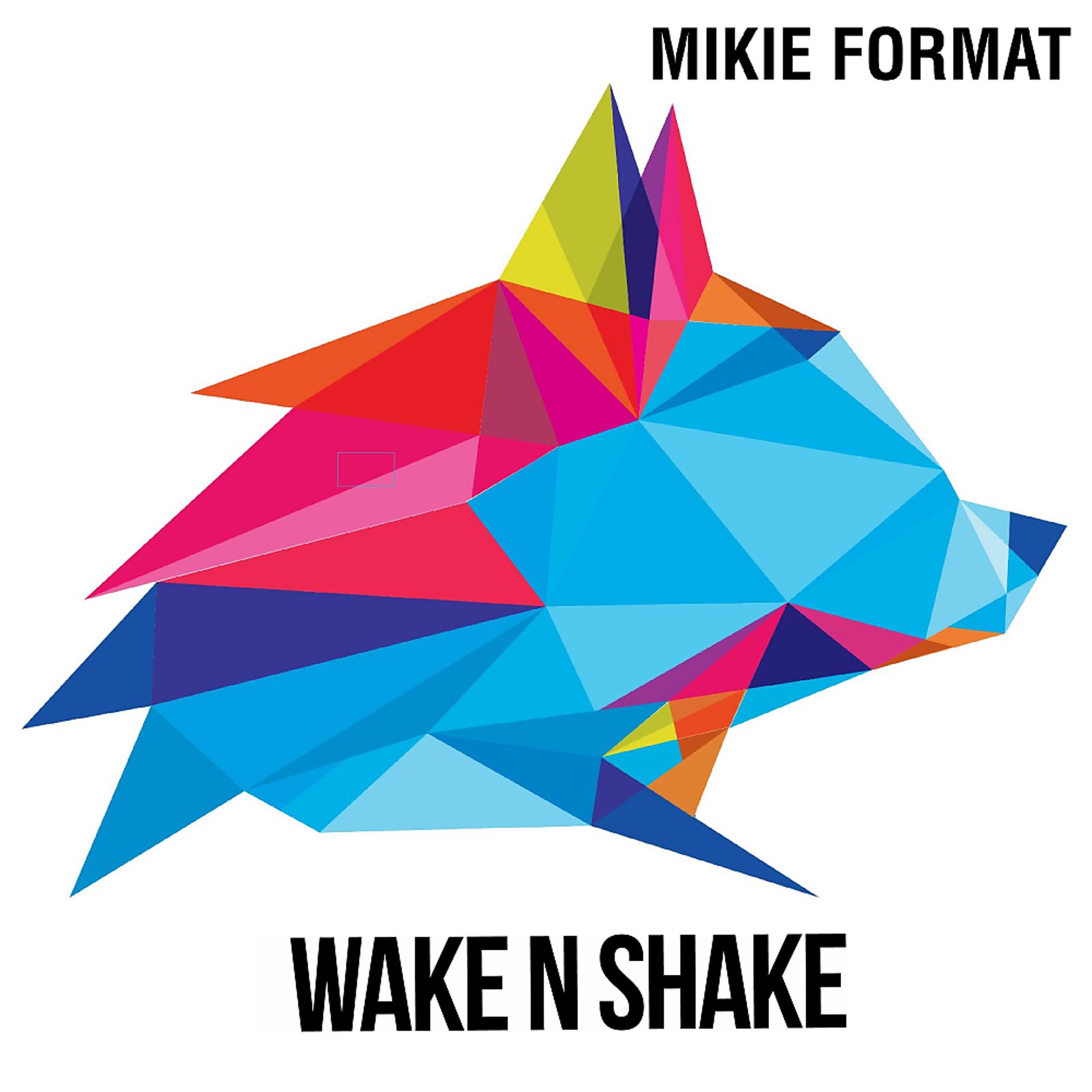Постер альбома Wake N Shake