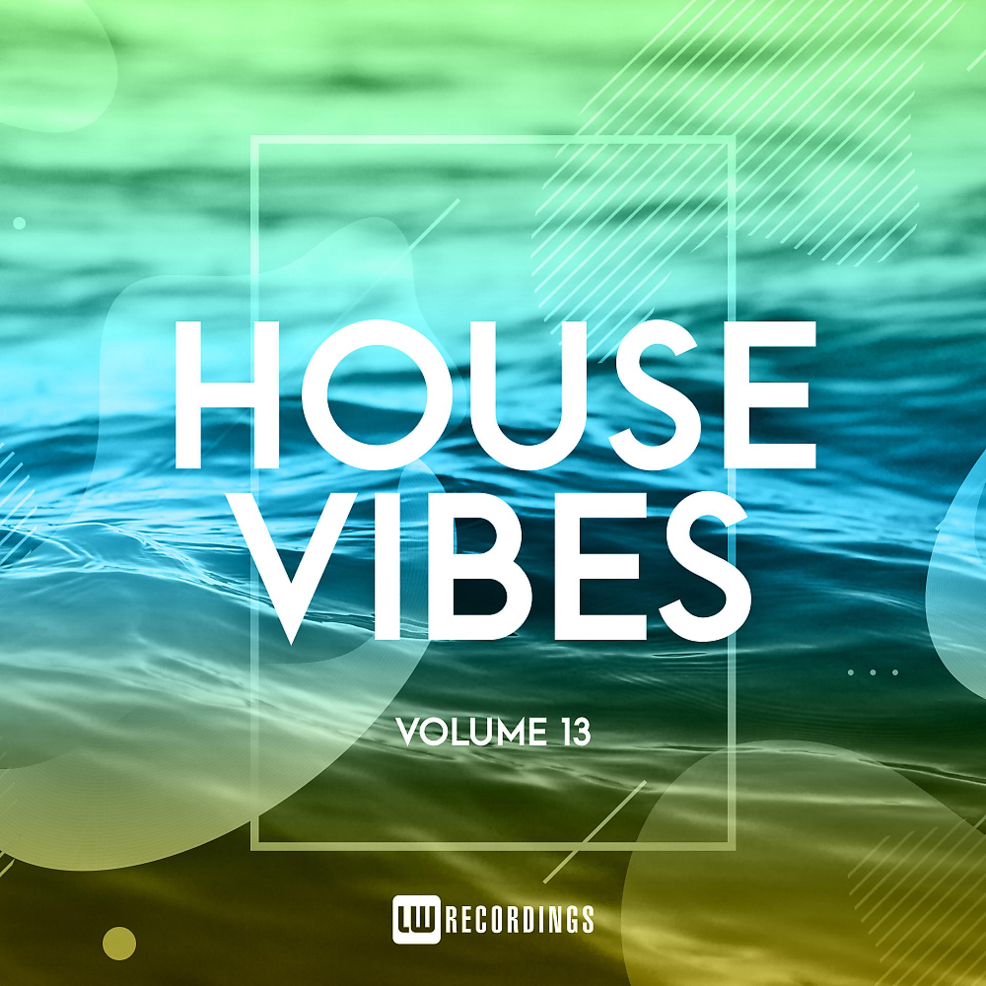 Постер альбома House Vibes, Vol. 13
