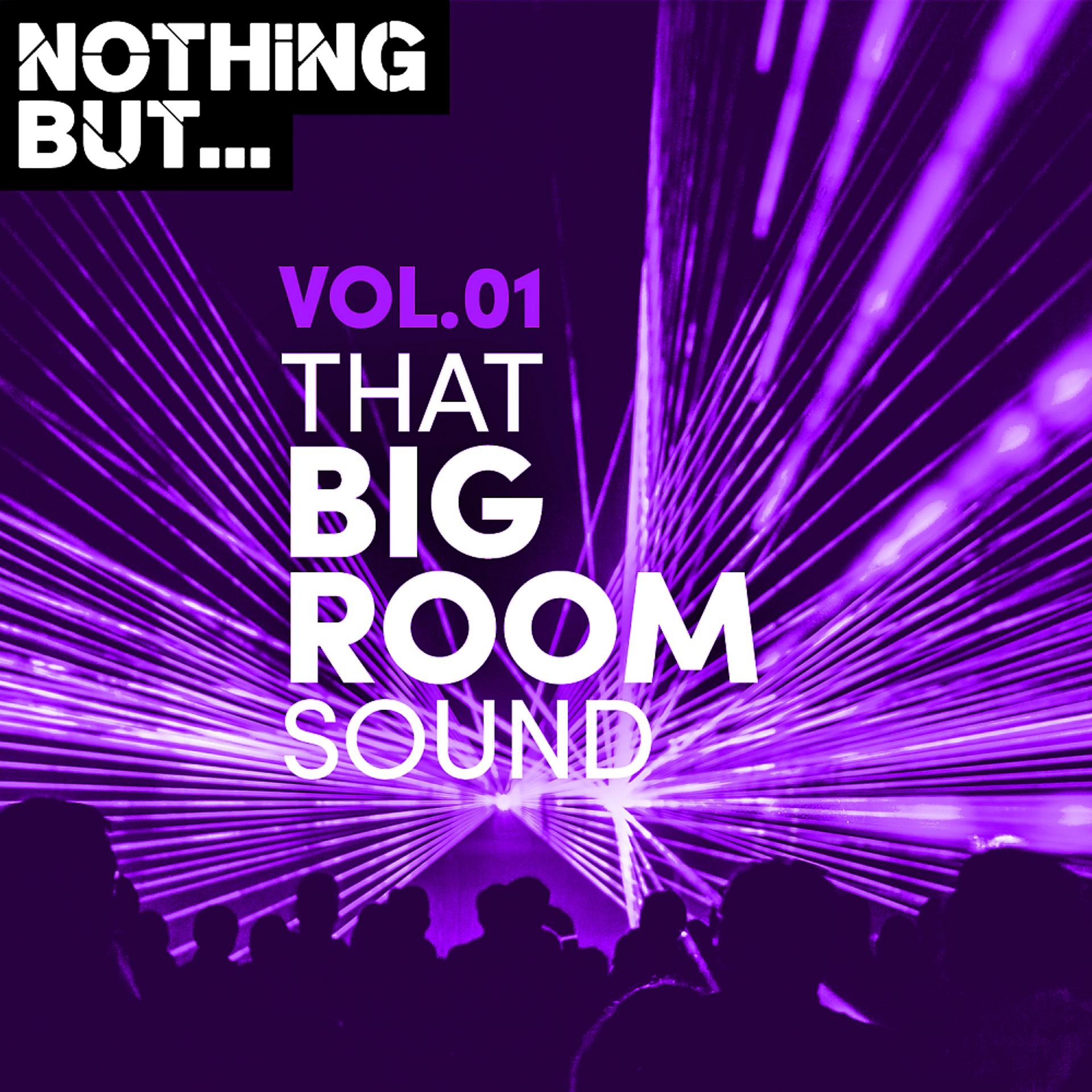 Постер альбома Nothing But... That Big Room Sound, Vol. 01